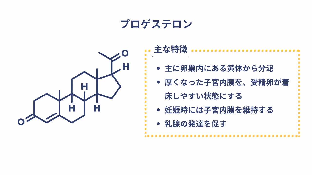プロゲステロンの主な特徴