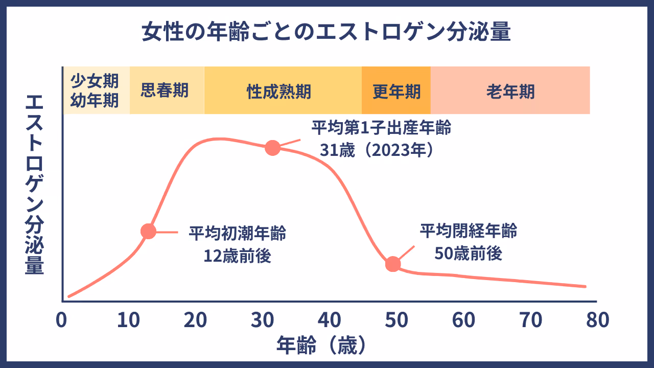 女性の年齢ごとのエストロゲン分泌量