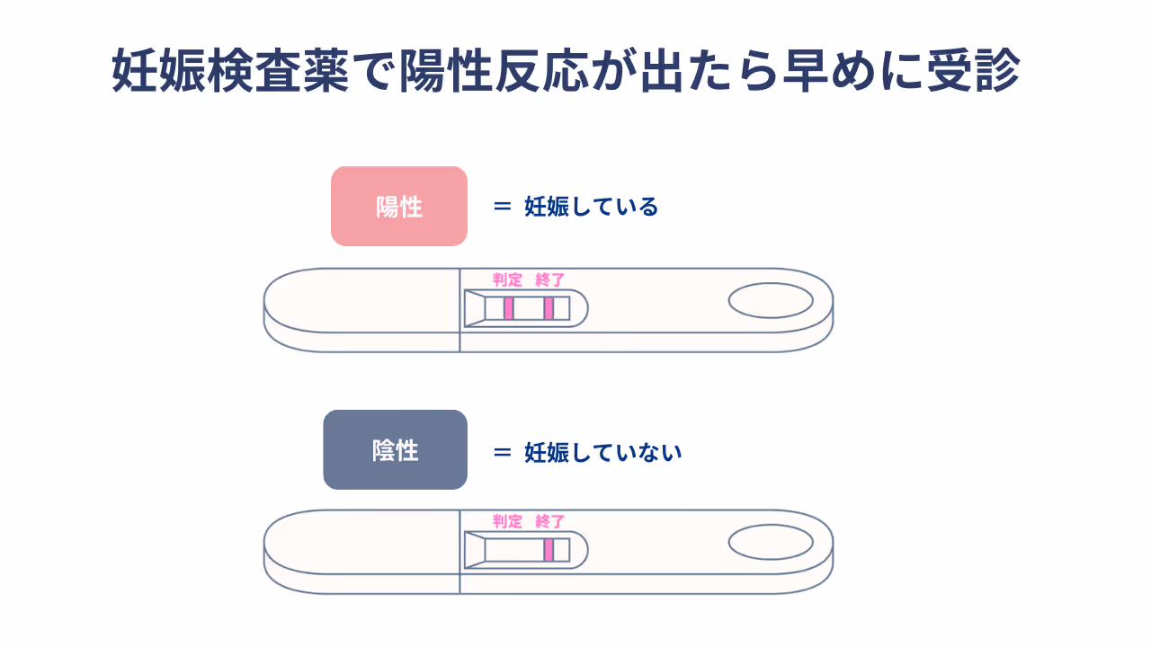 妊娠検査薬で陽性反応がでたら早めに受診