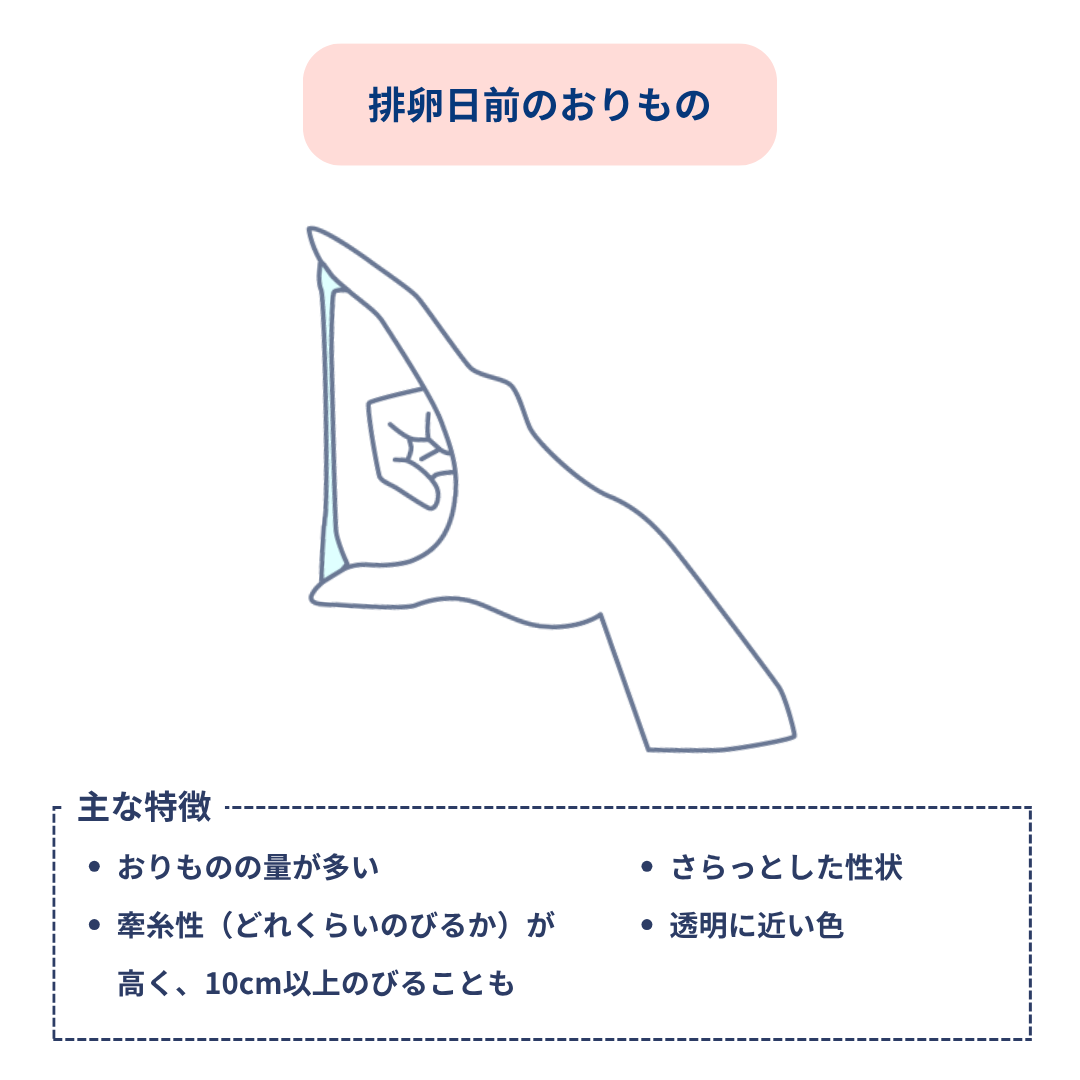排卵日前のおりもの