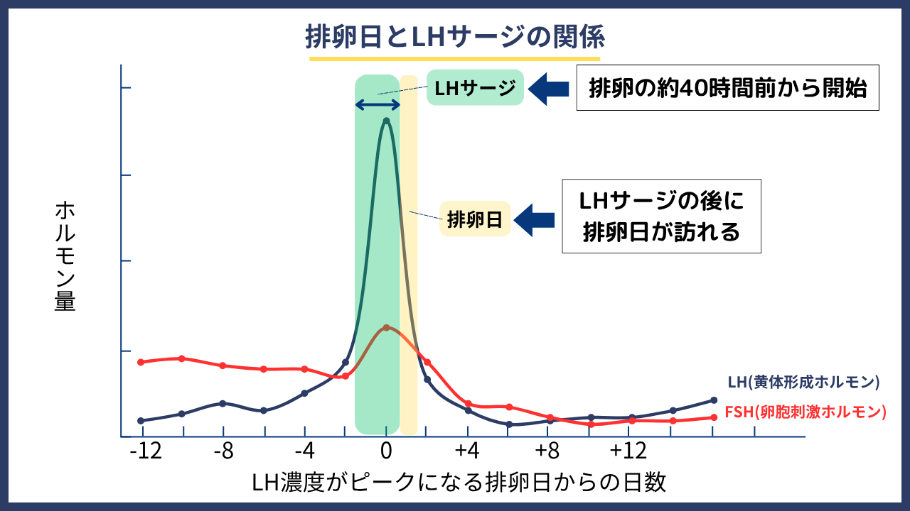 排卵日とLHサージの関係