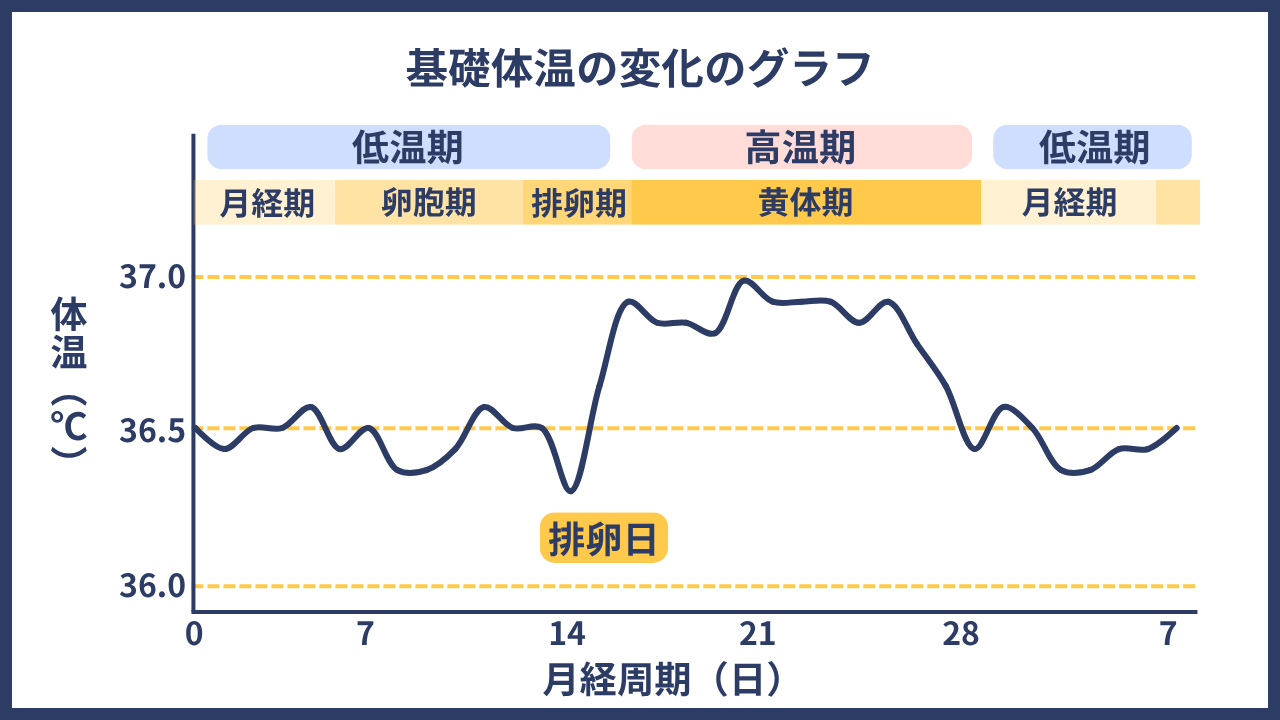 基礎体温の変化のグラフ