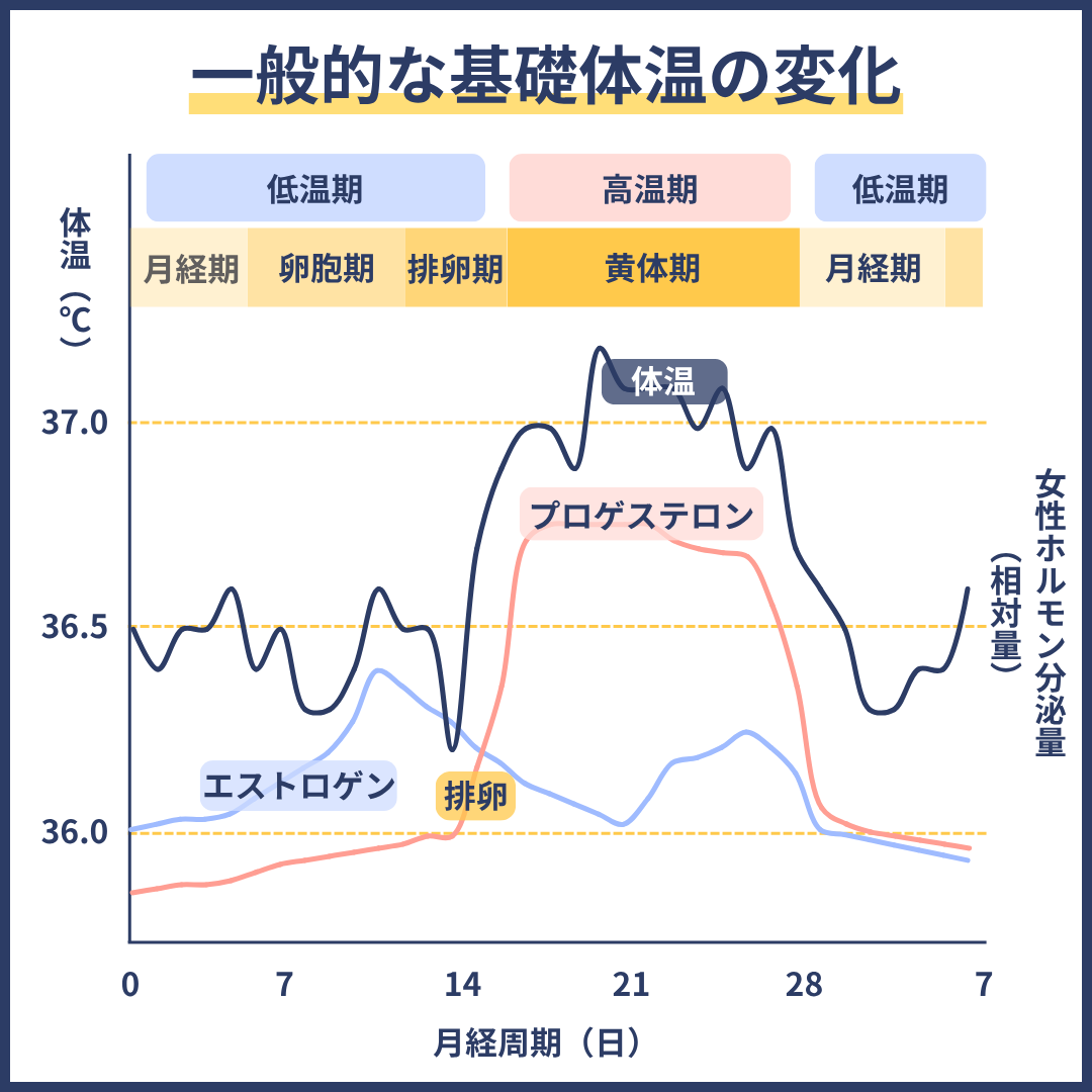 一般的な基礎体温の変化