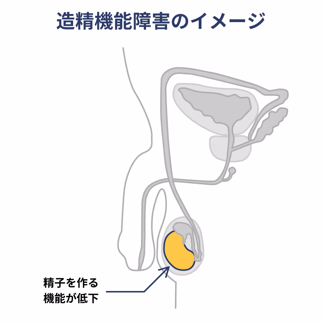 造精機能障害のイメージ