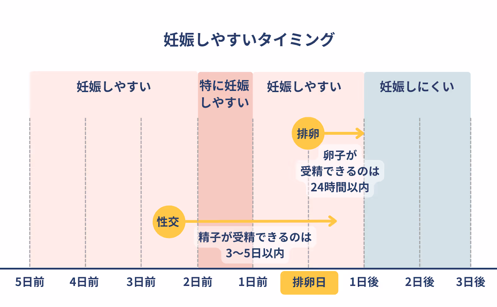 妊娠しやすいタイミング