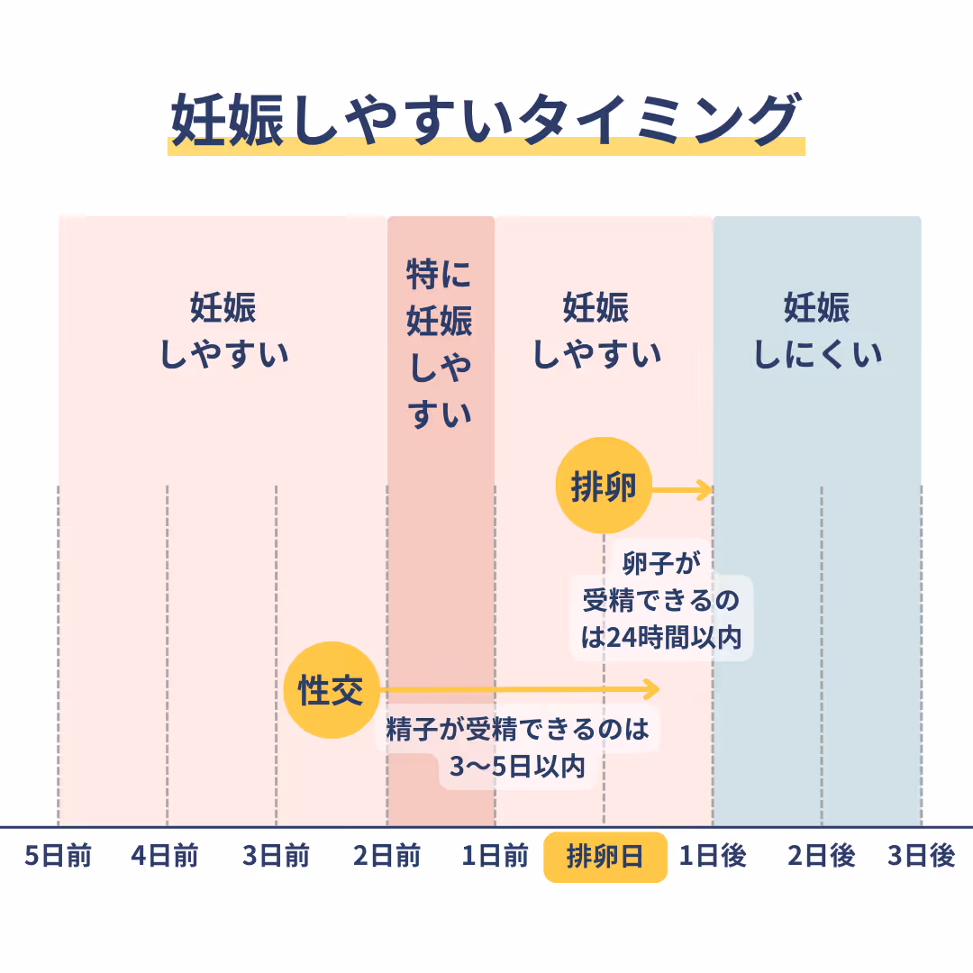 妊娠しやすいタイミング