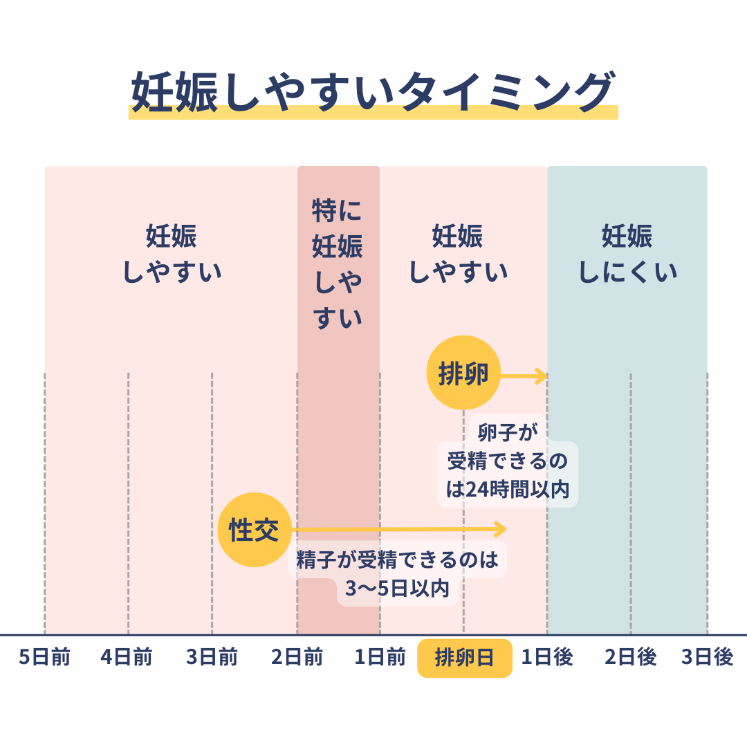 妊娠しやすいタイミング
