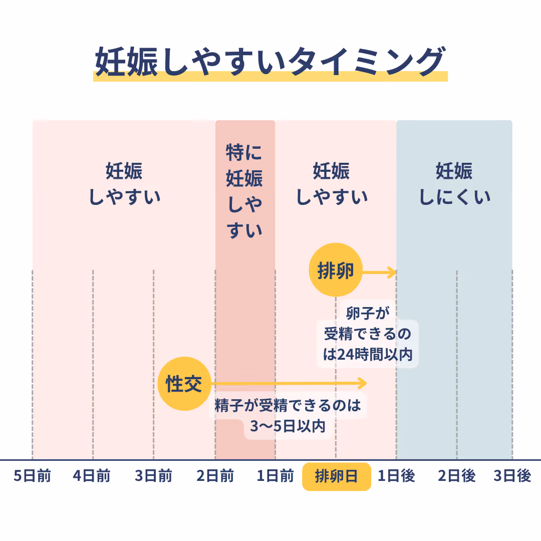 妊娠しやすいタイミング
