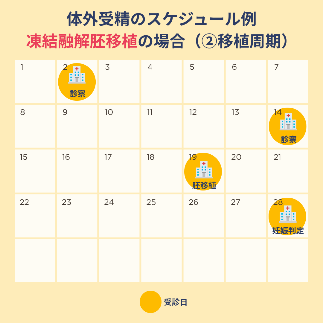 凍結融解胚移植の体外受精のスケジュール例②