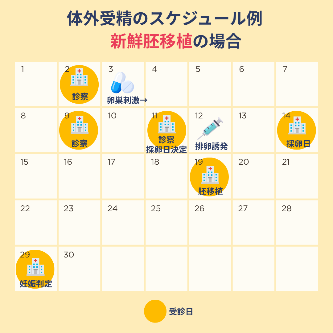 新鮮胚移植の体外受精のスケジュール例