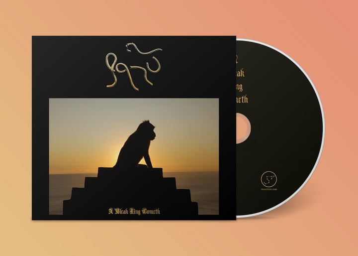 Record Of The Week! Qasu - A Bleak King Cometh