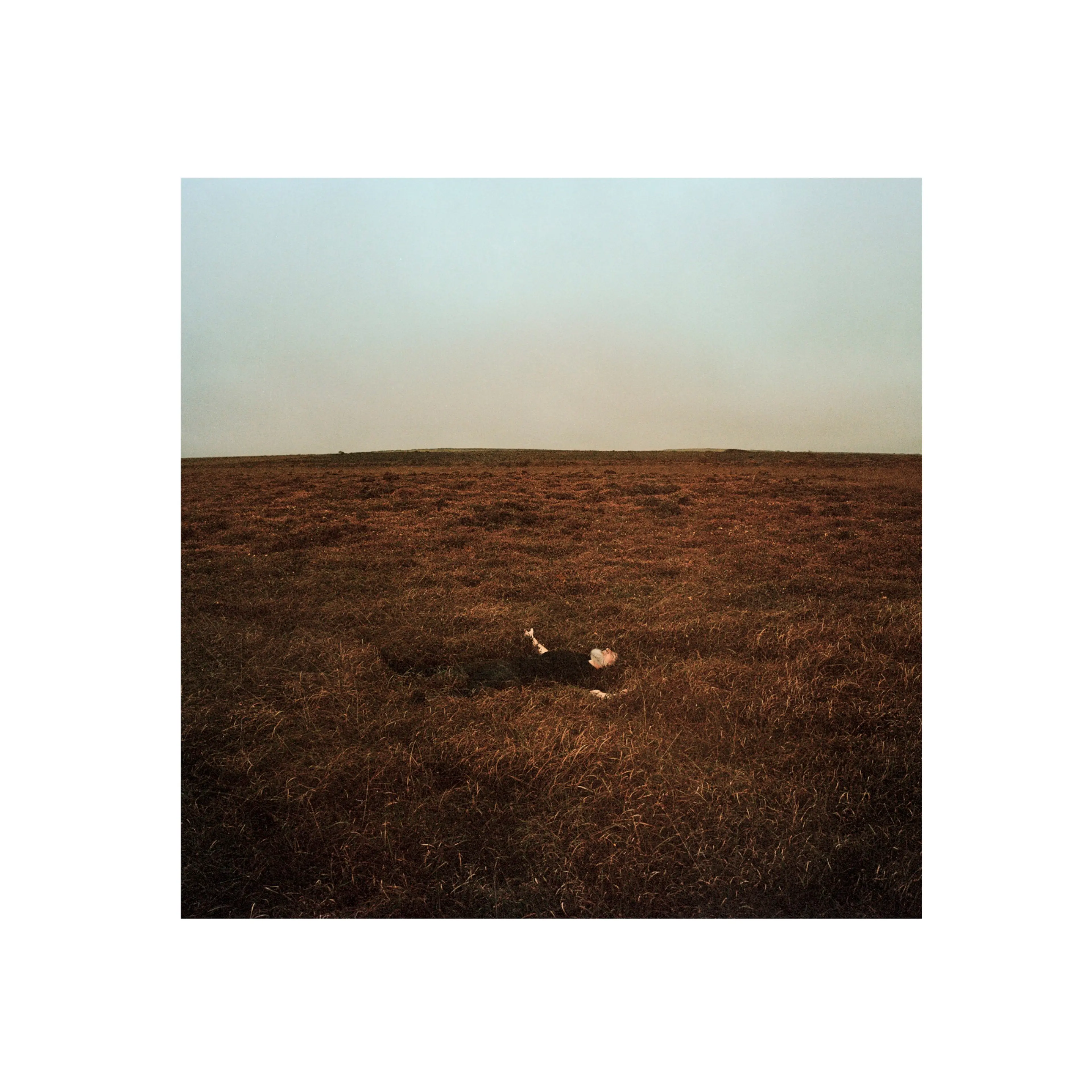 Record of the Week! Fink - The City Is Coming To Erase It All