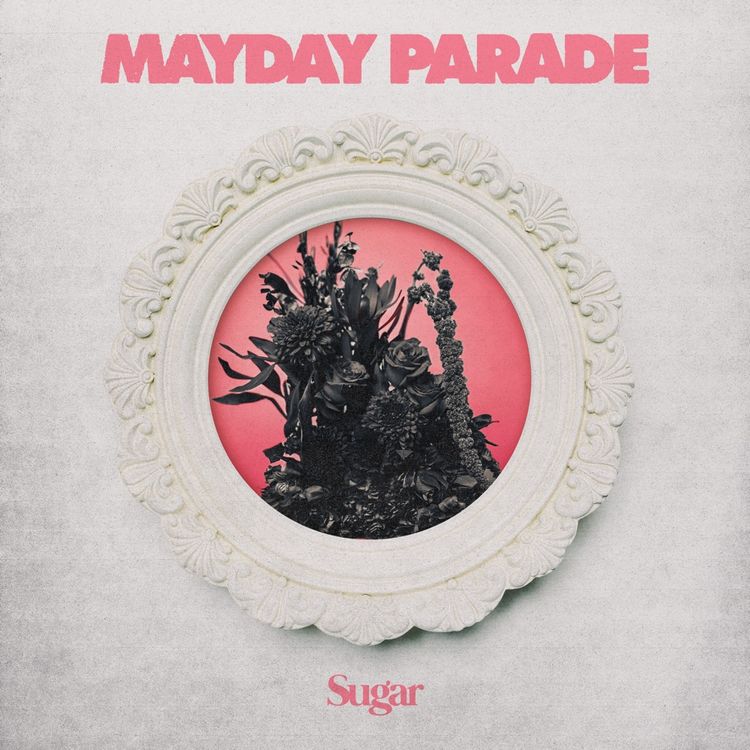 Announcing Mayday Parade - Sugar