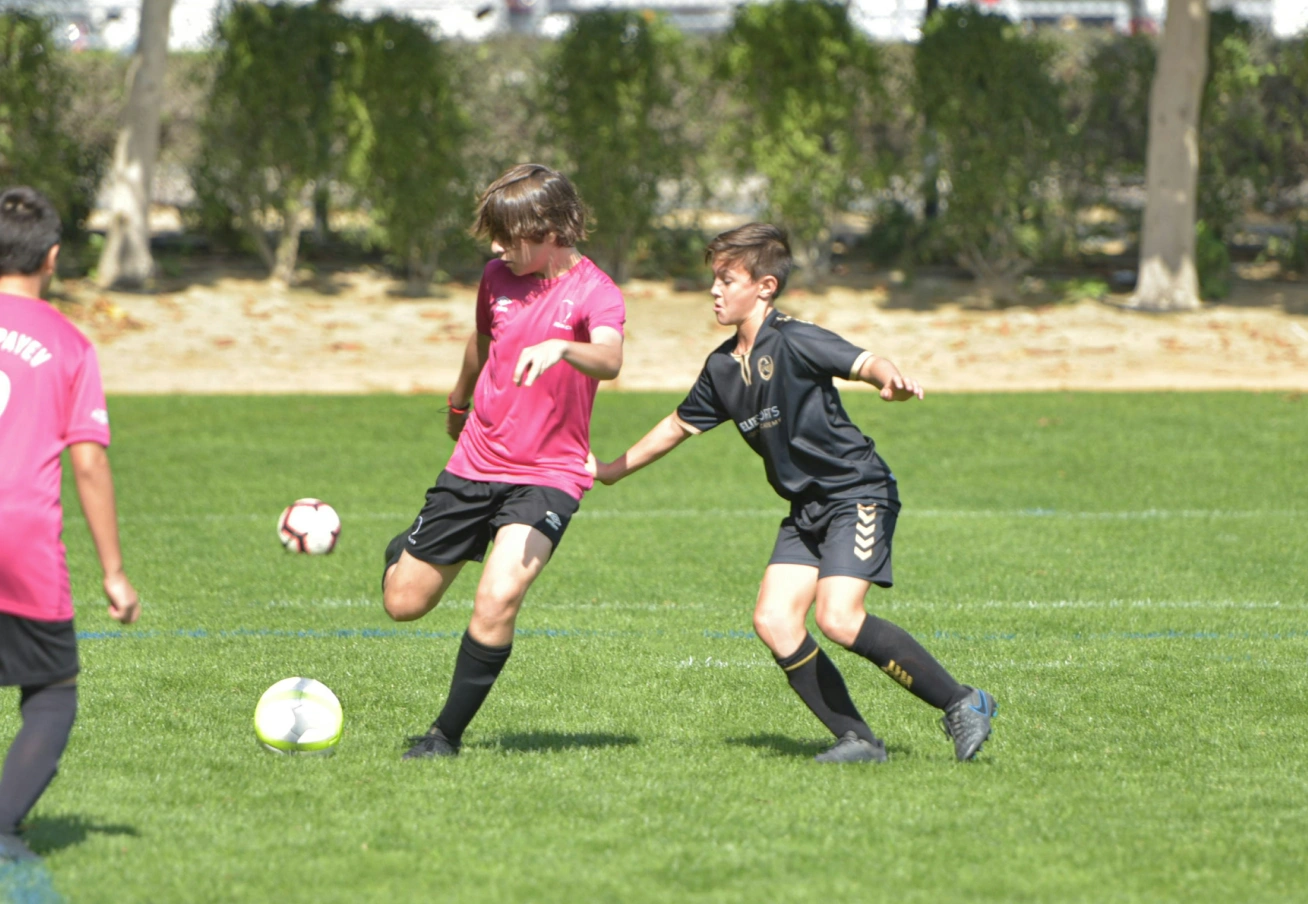 Sports Club Management Software