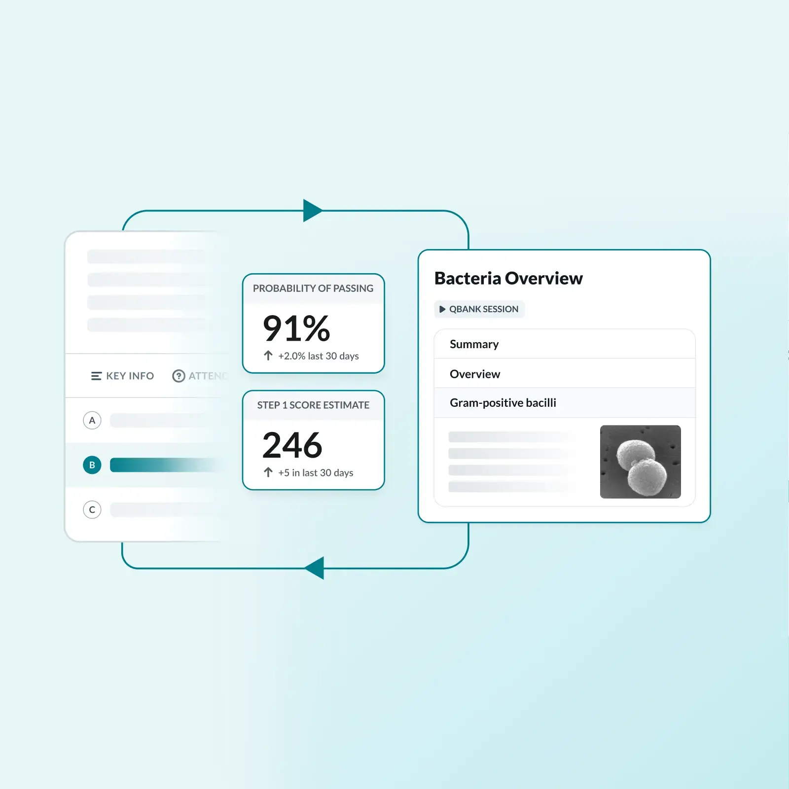 Linked cards on AMBOSS Qbank add-on
