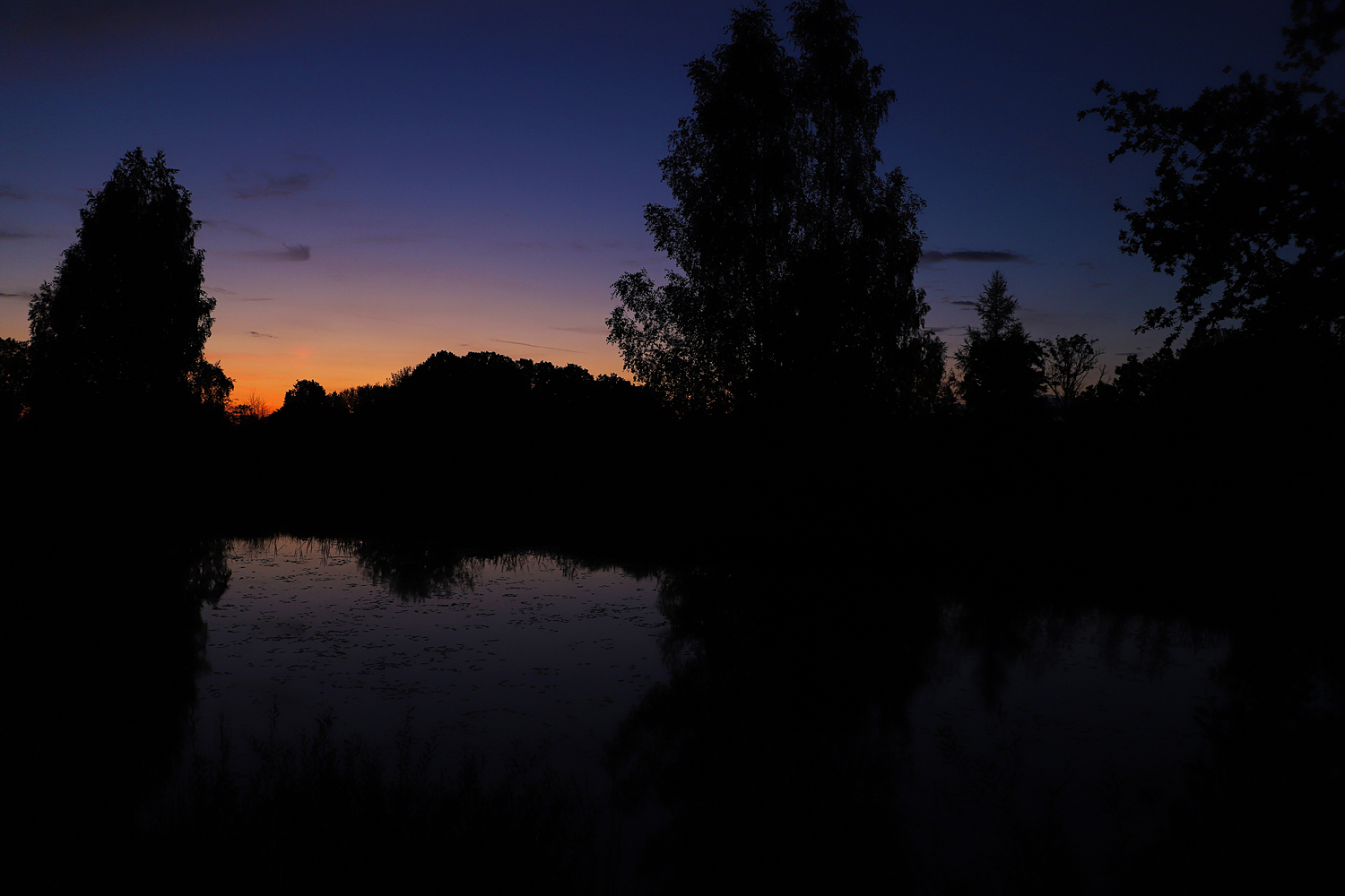 $*REGANA* Kārļi, 2025