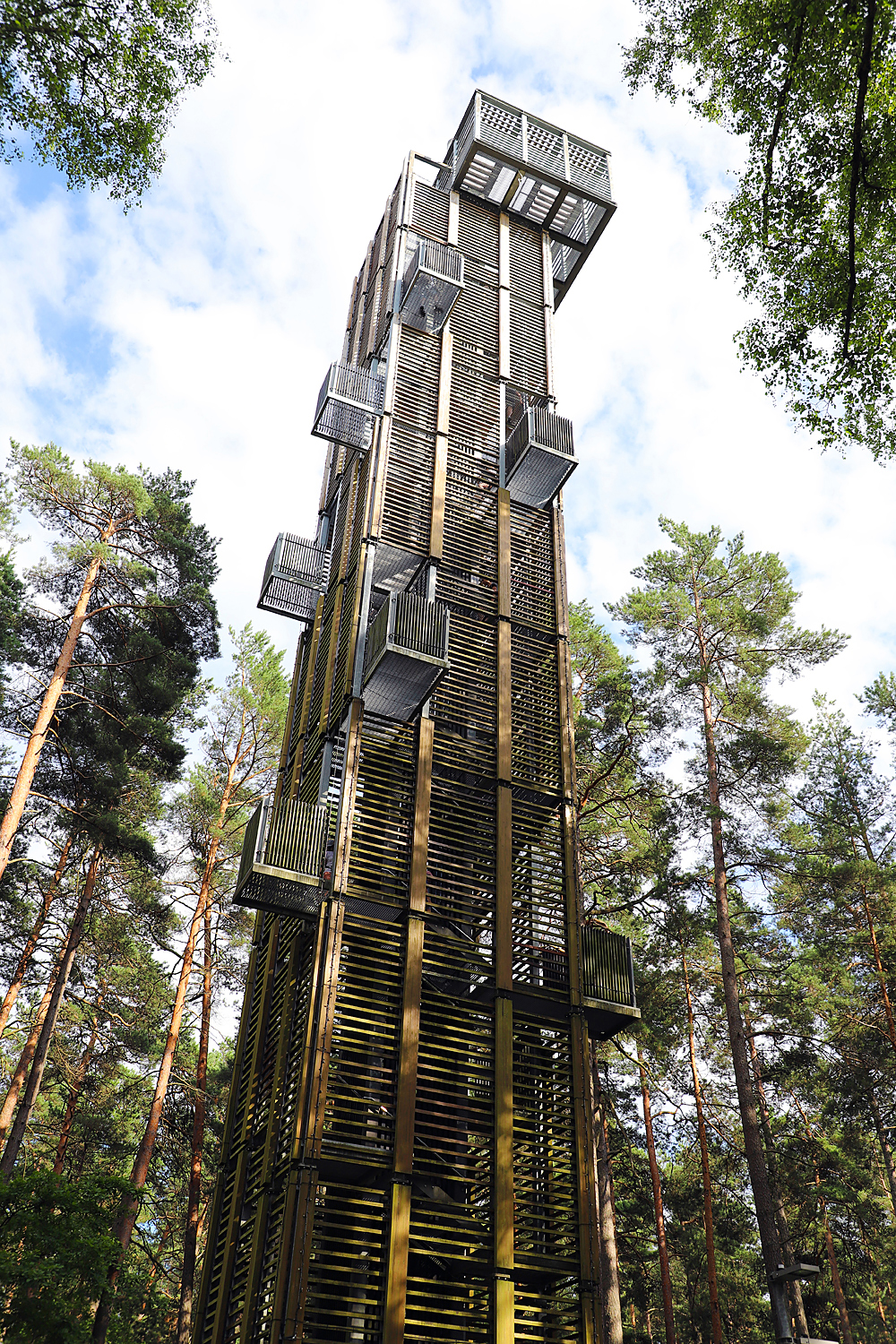 $*THE PLATFORM* Jūrmala, 2025