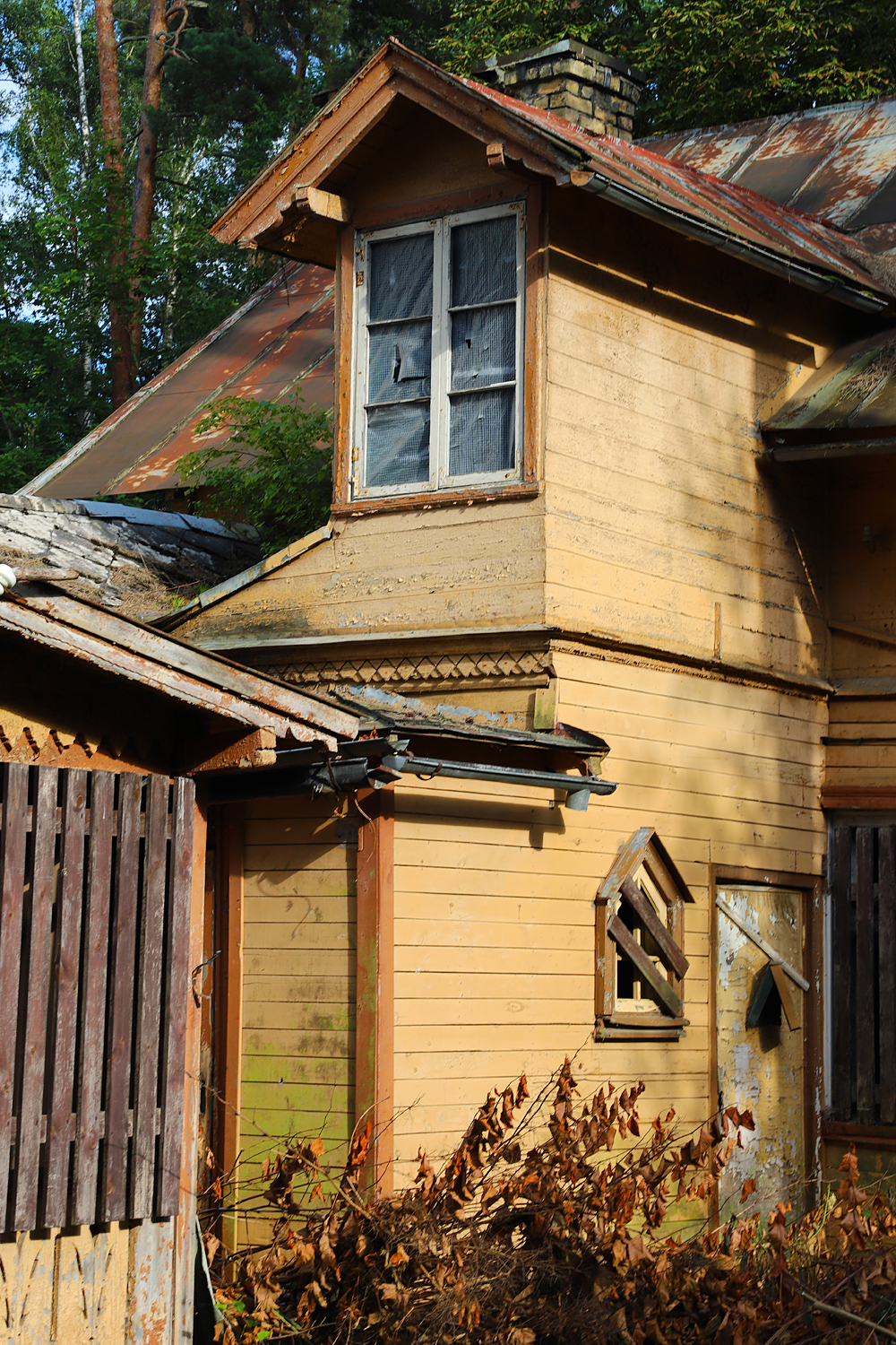 $*SUMMER RUIN* Jūrmala, 2025