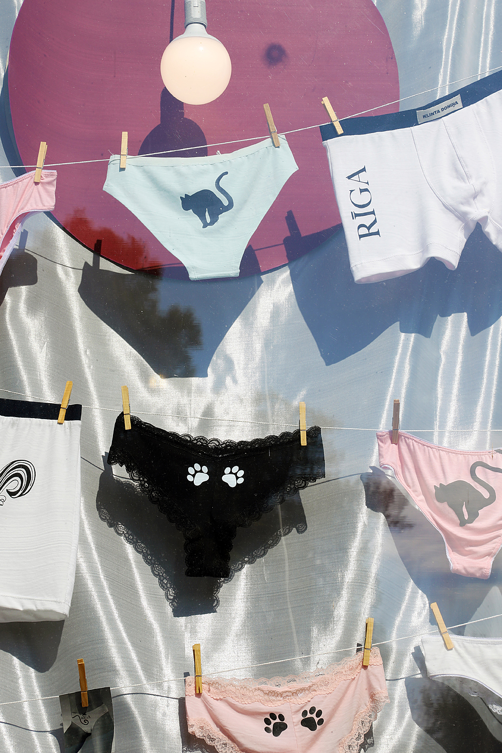 $*PUSSY CATS* Riga, 2025