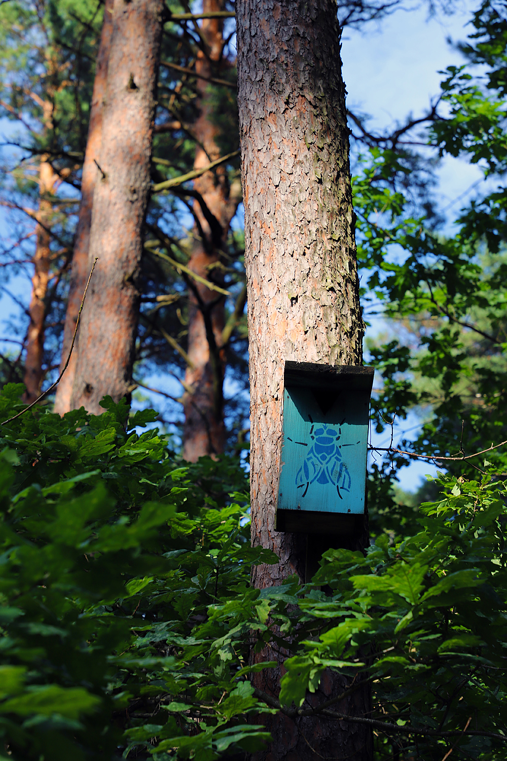 $*BLUE BOTTLE* Jūrmala, 2025