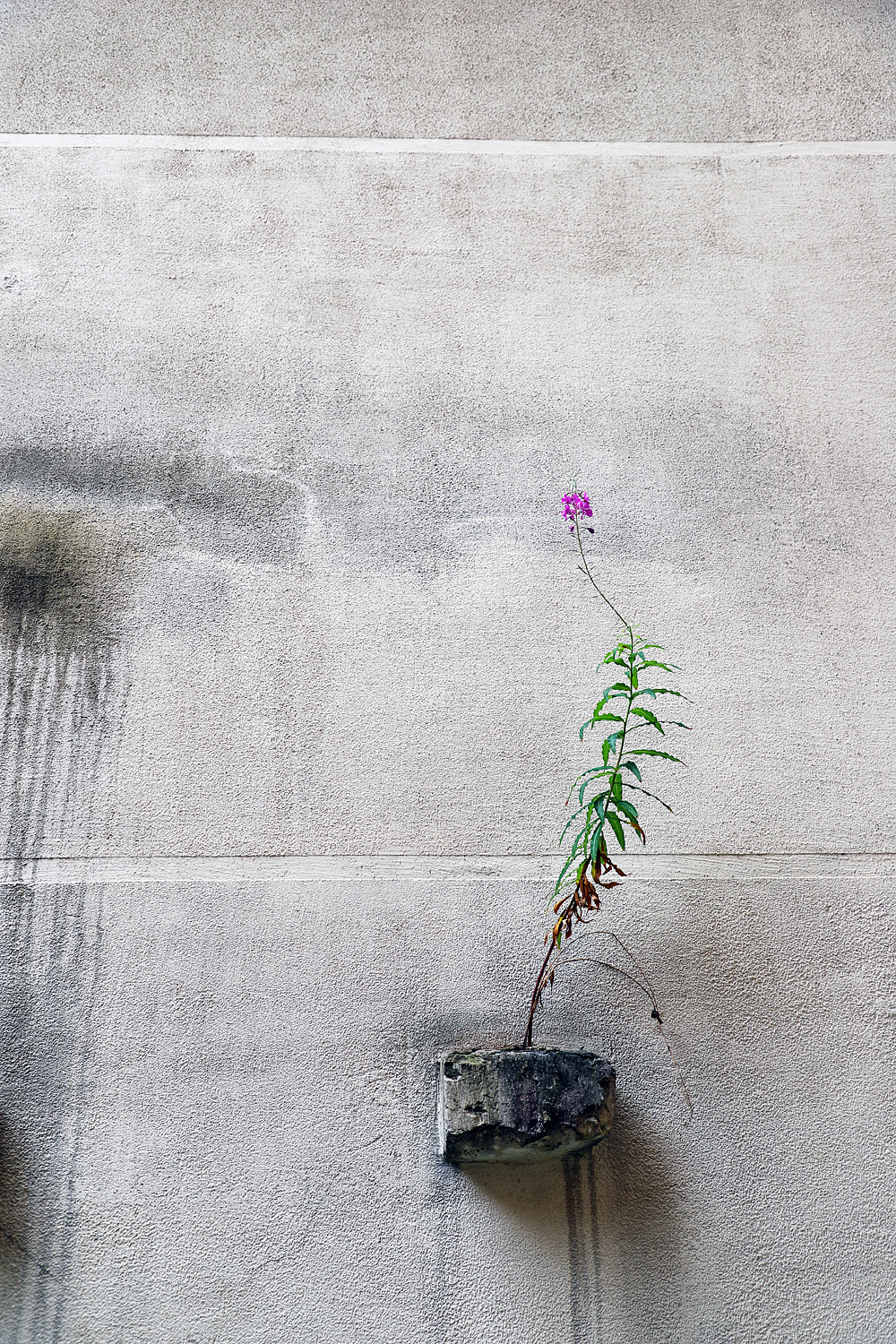 $*LONE STRUGGLE* Riga, 2025