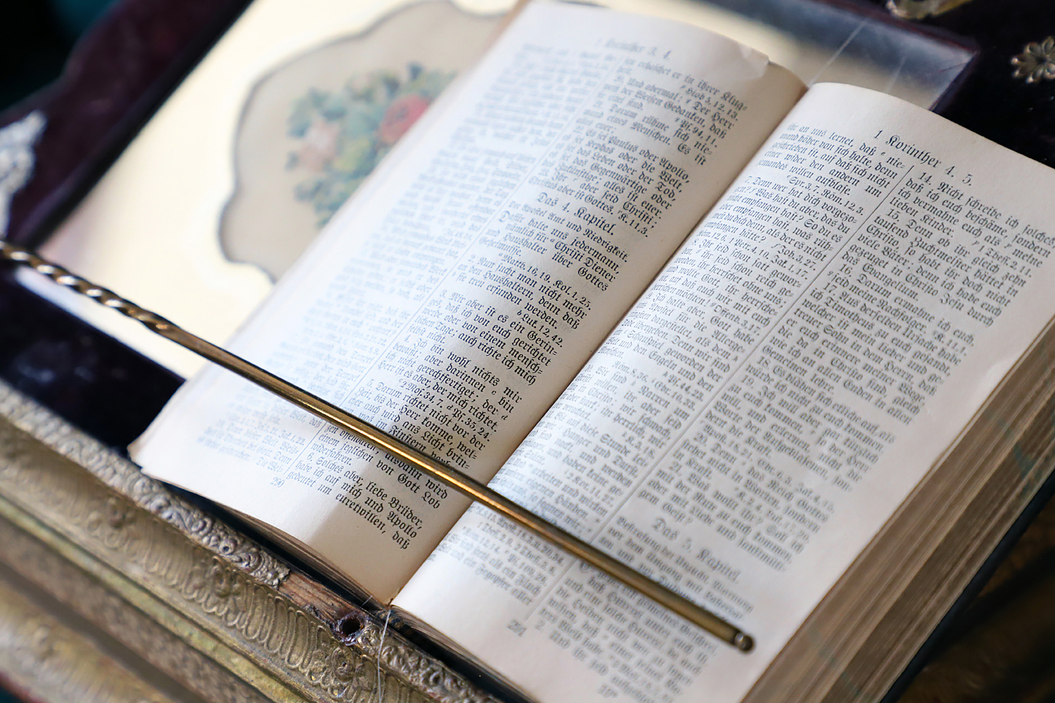 $*THE READING* Riga, 2025