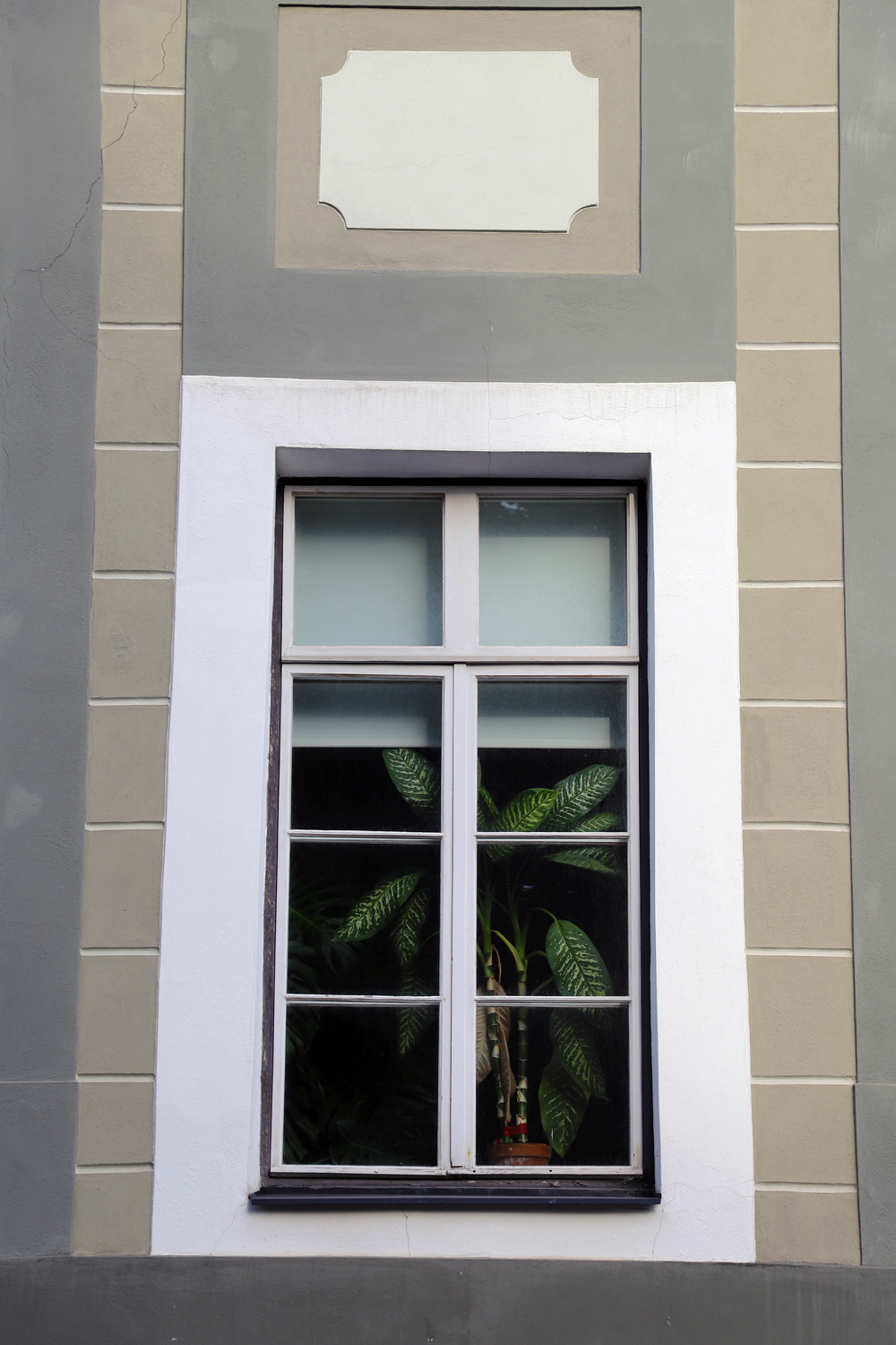 $*Greyglass* Tallinn, 2025