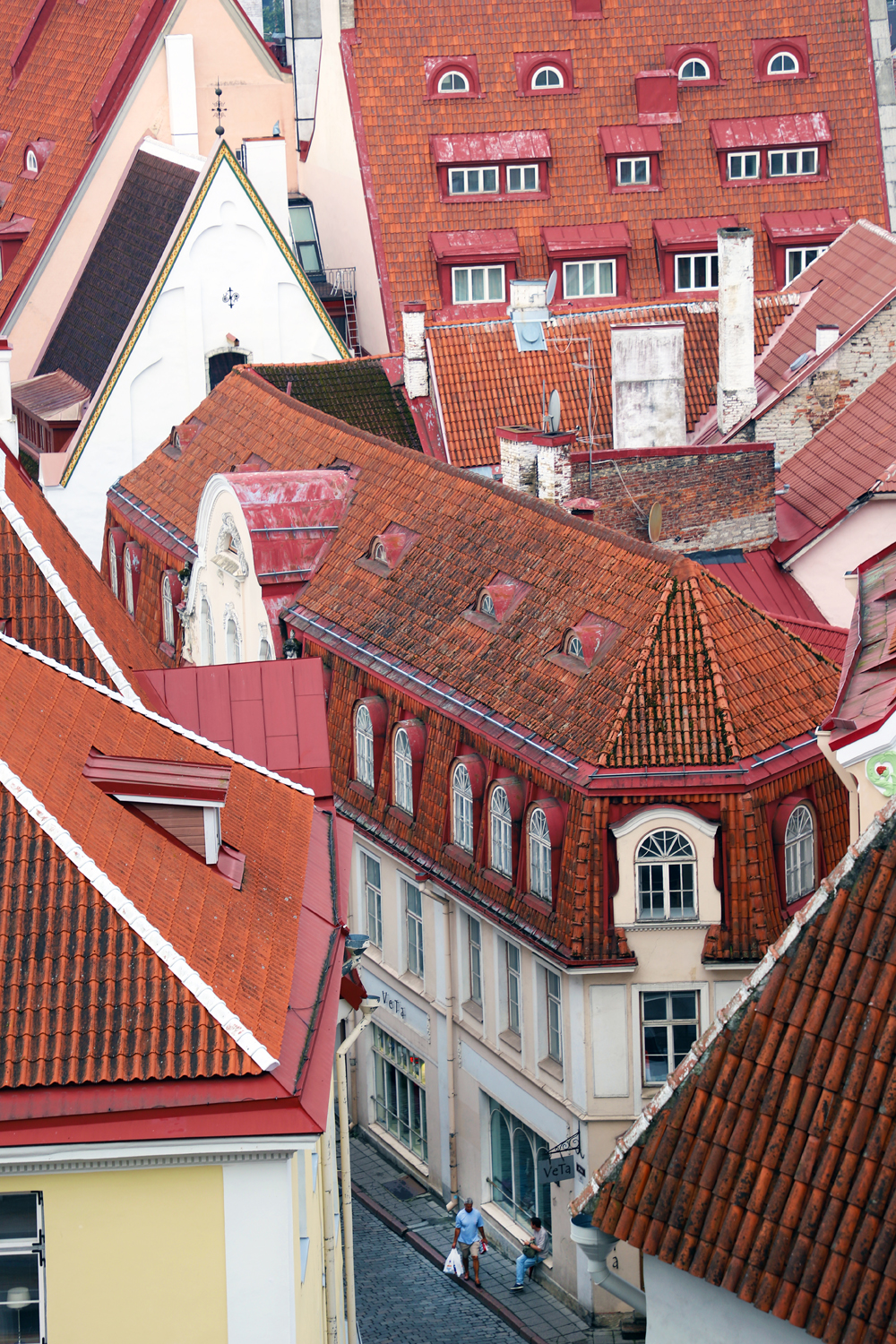 $*Red Roofs* Tallinn, 2025