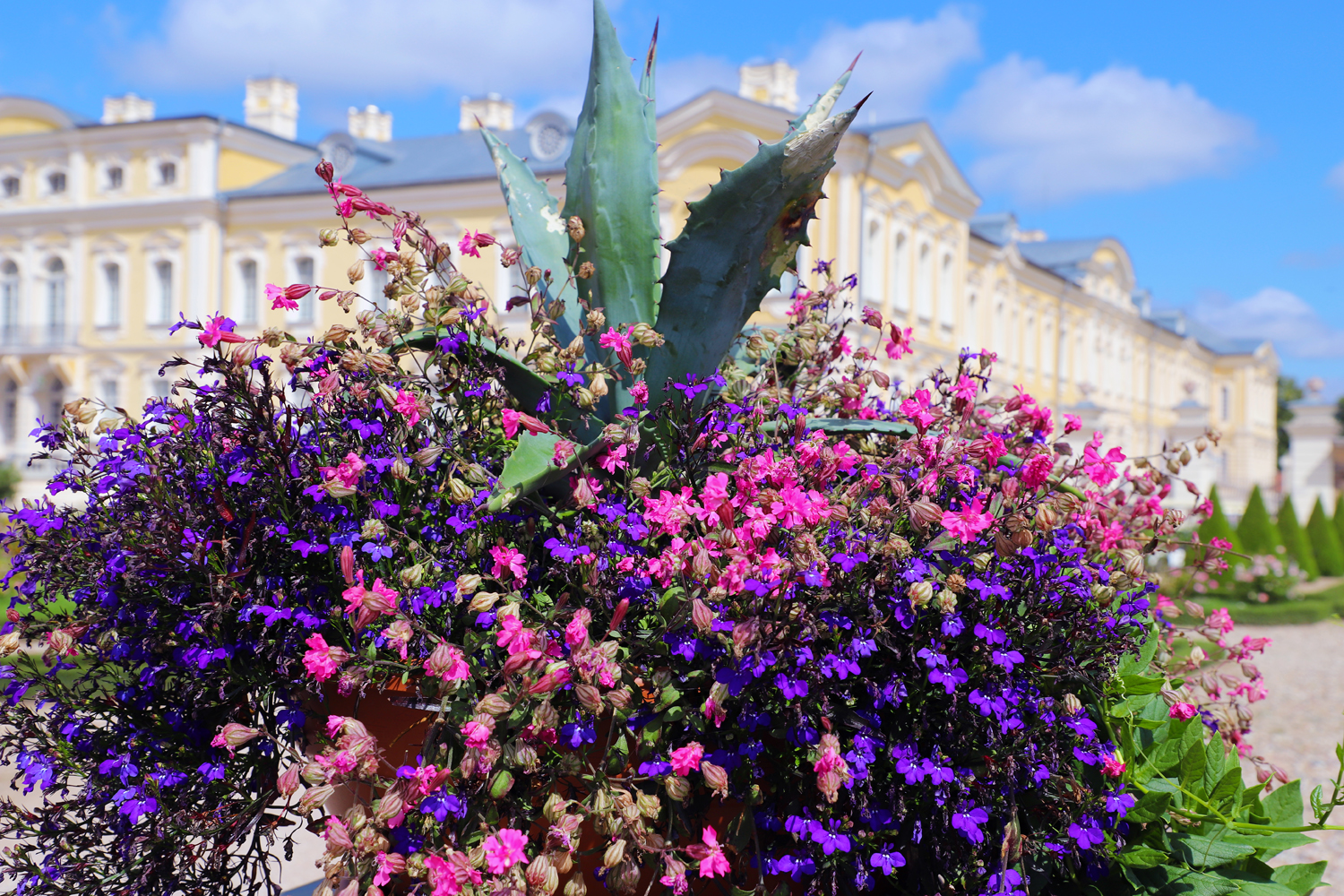 $*DISPLAY* Pilsrundāle, 2025