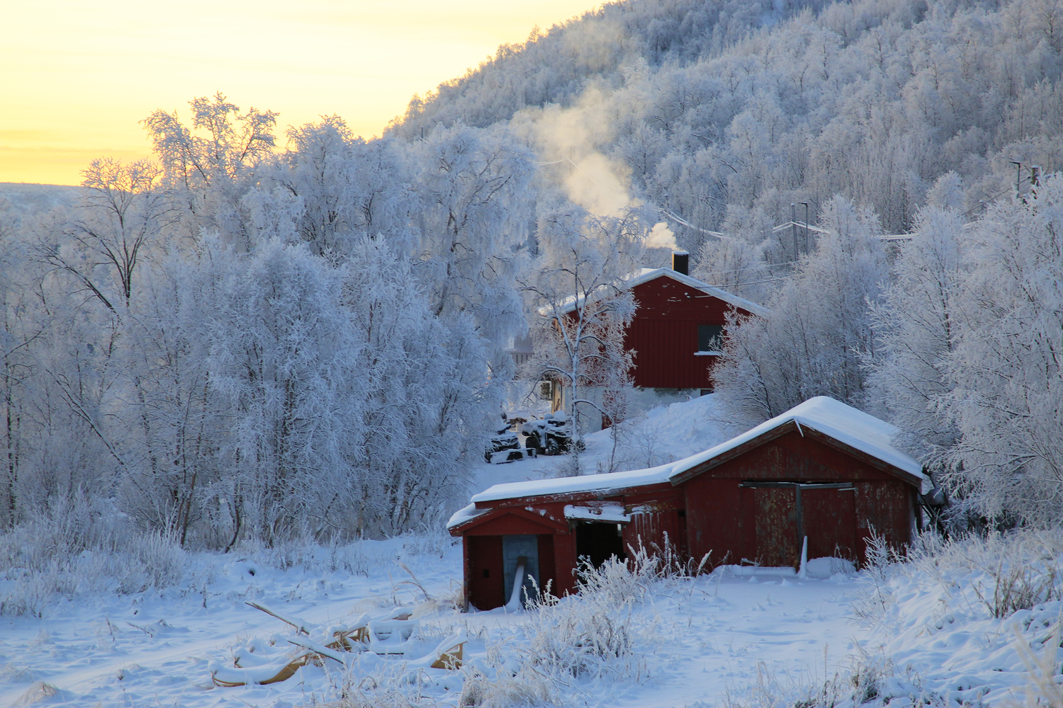 $*Winter Smoke* Máze, 2025