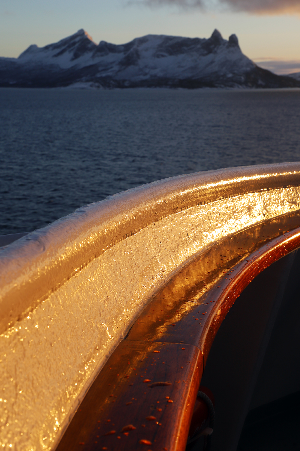 $*Bow Light* Vestfjorden, 2025