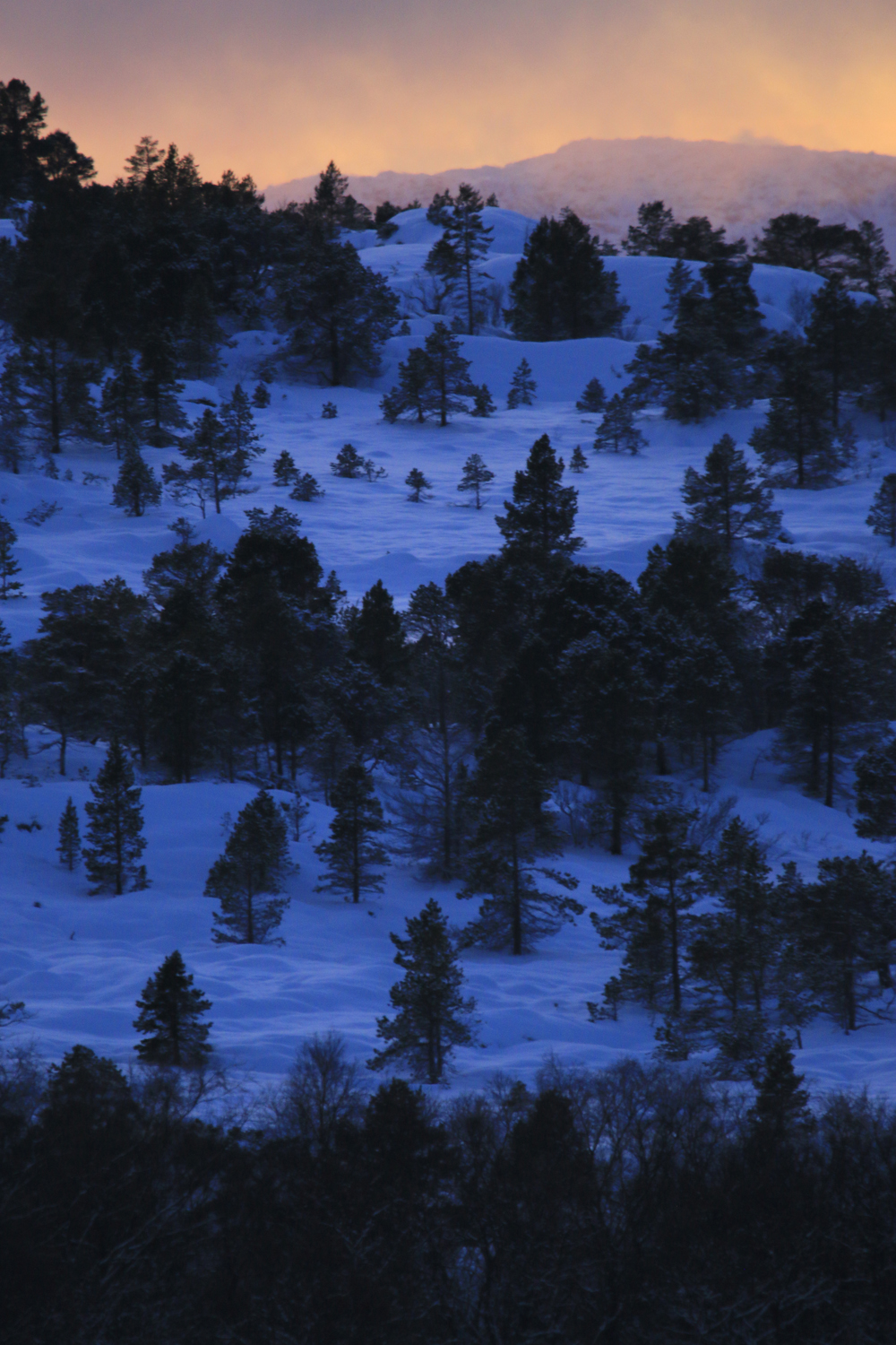 $*Taiga* Tjeldsundet Strait, 2025