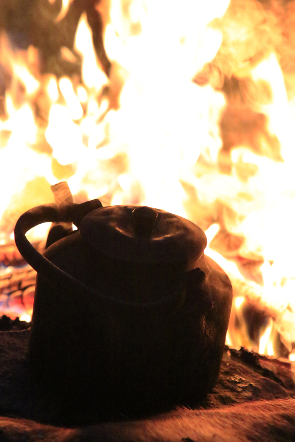 $*Kokkaffe* Máze, 2025