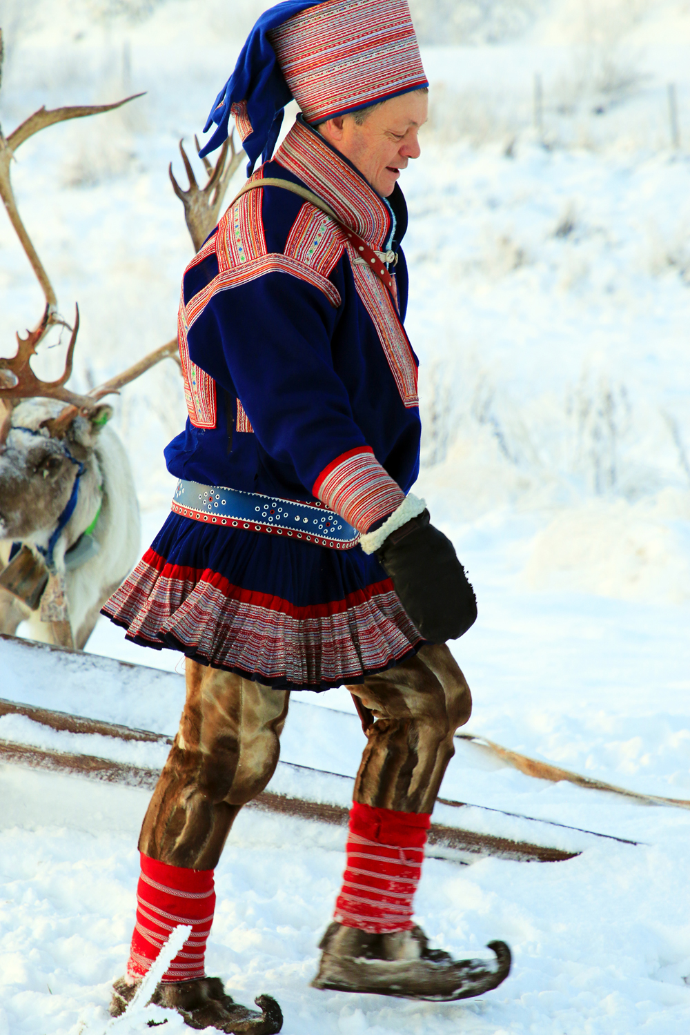 $*Leading The Herd* Máze, 2025