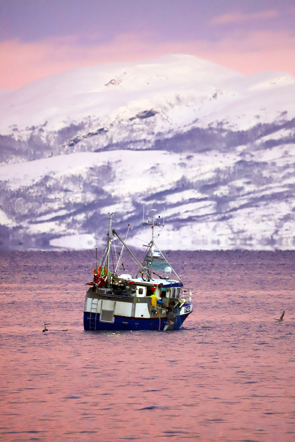 $*Dawn Fishing* Altafjord, 2025