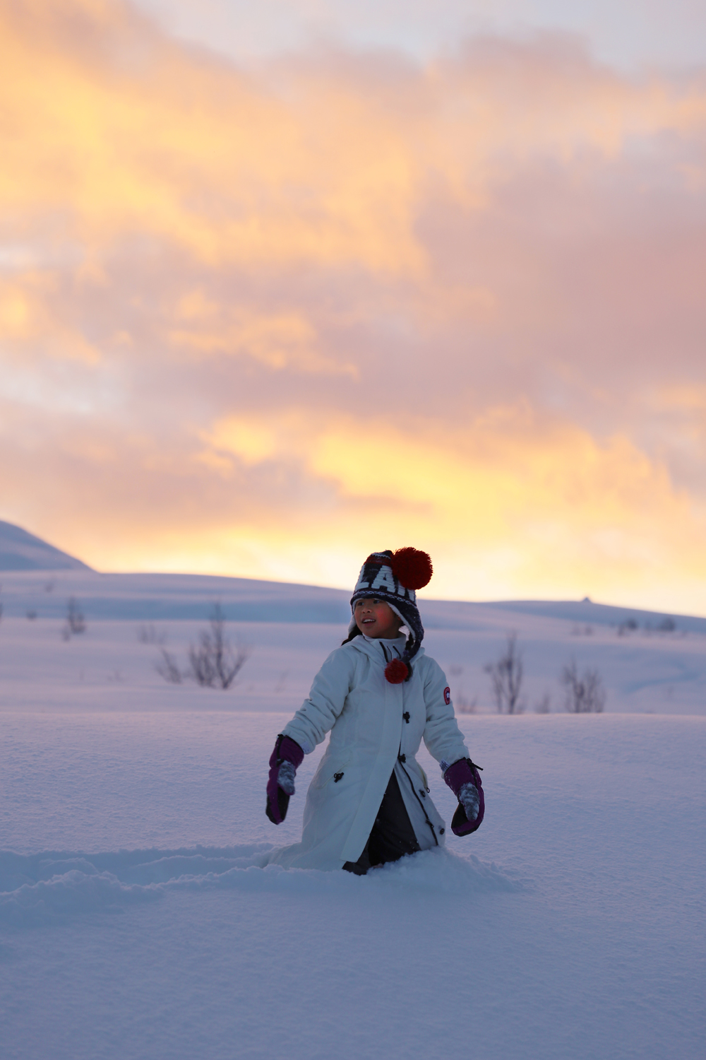 $*Lapland* Tromsø, 2025