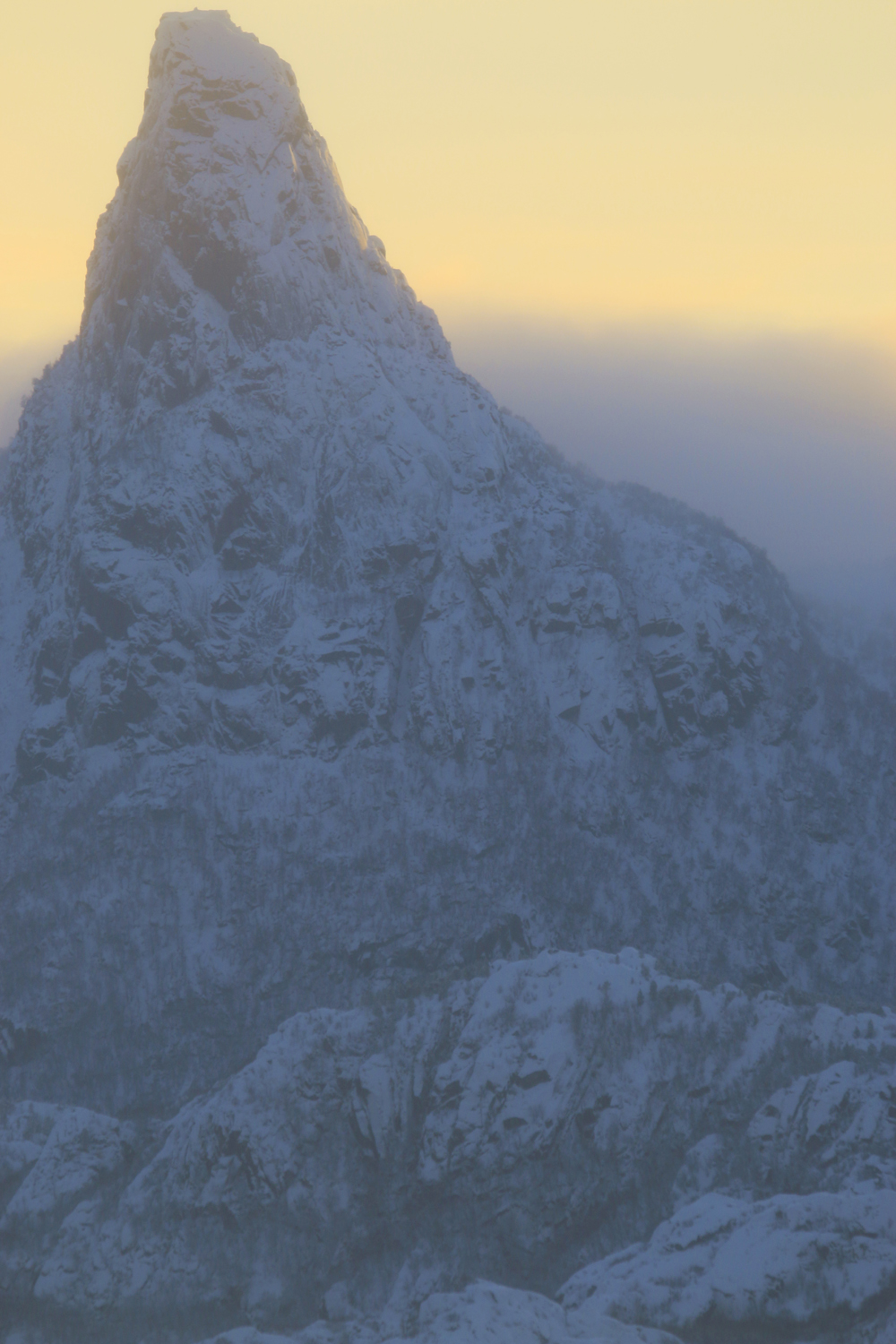 $*Ymir* Vestfjorden, 2025