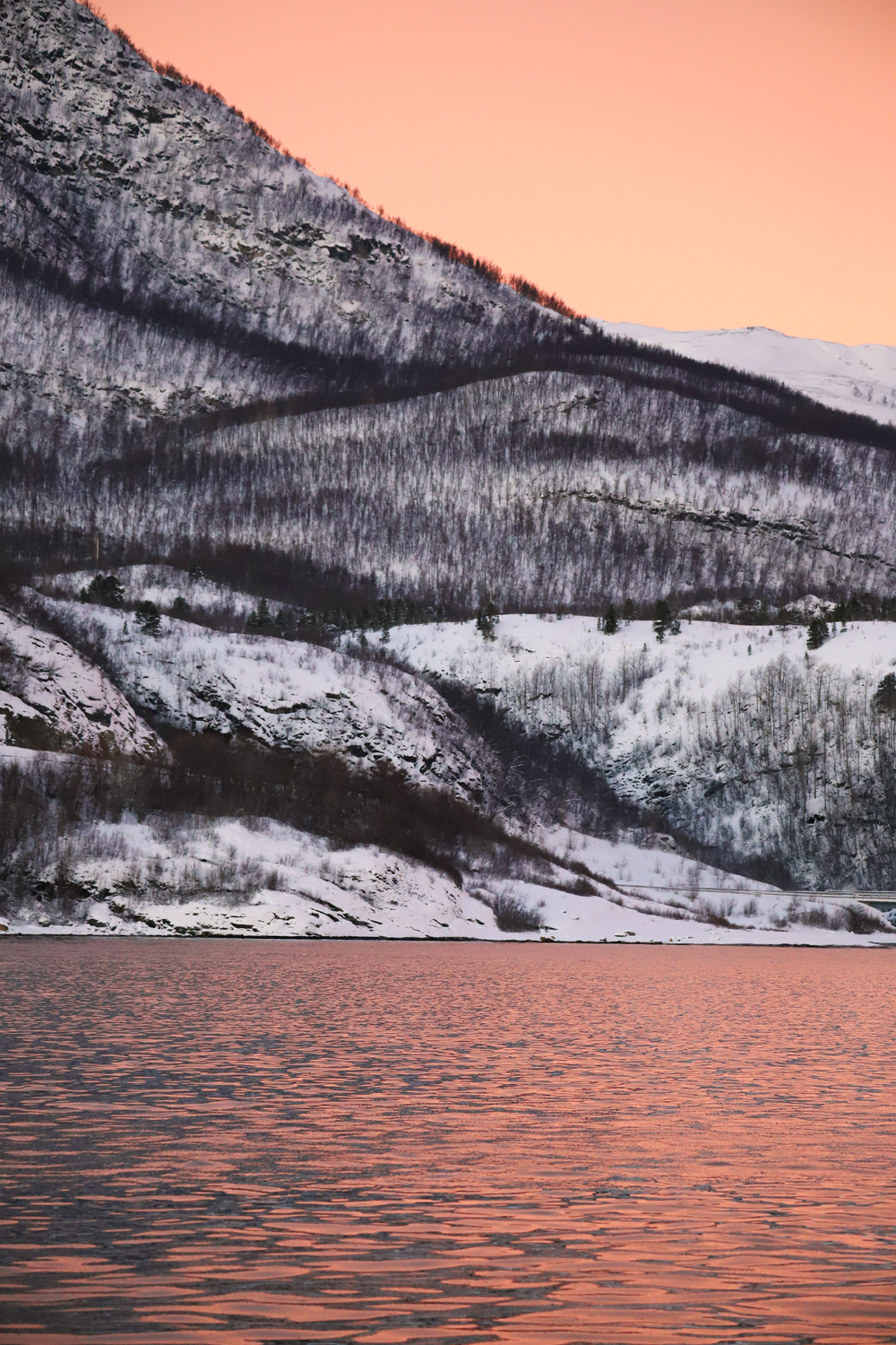 $*Lyfjaberg* Altafjord, 2025