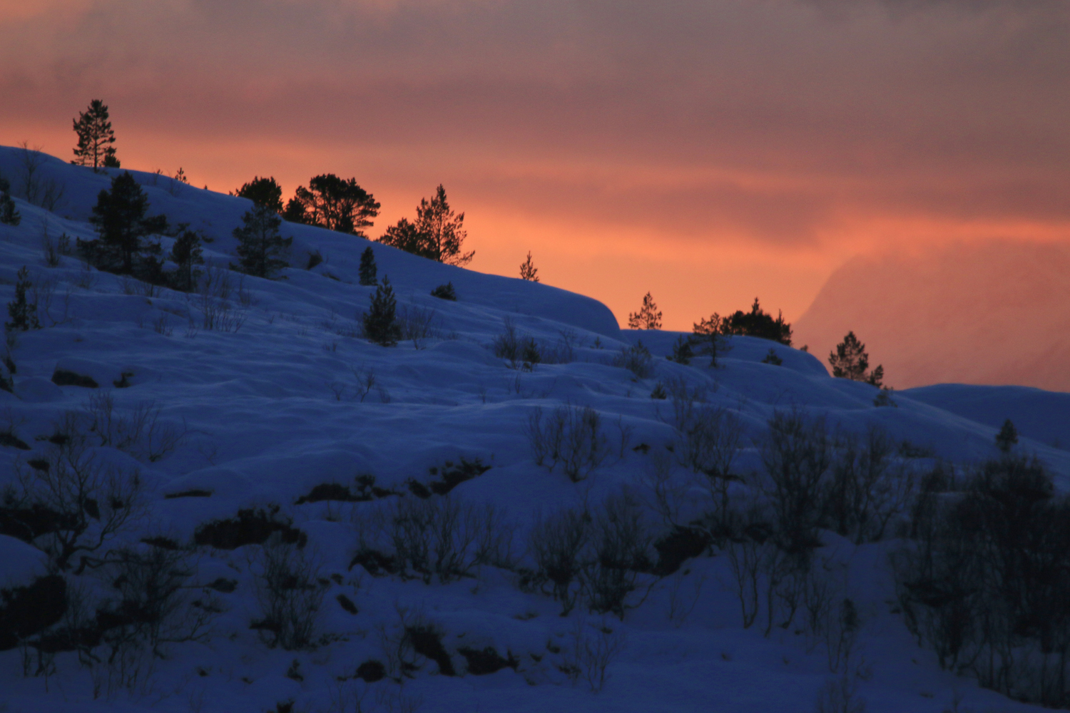 $*Snøfell* Tjeldsundet Strait, 2025