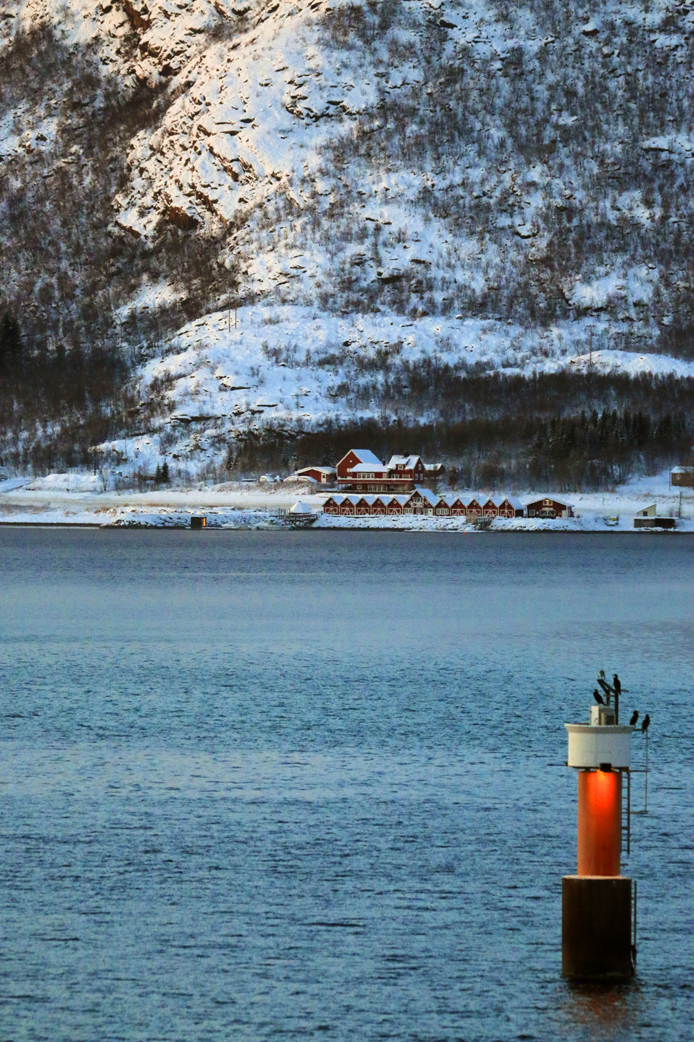 $*Utrøst* Tjeldsundet Strait, 2025