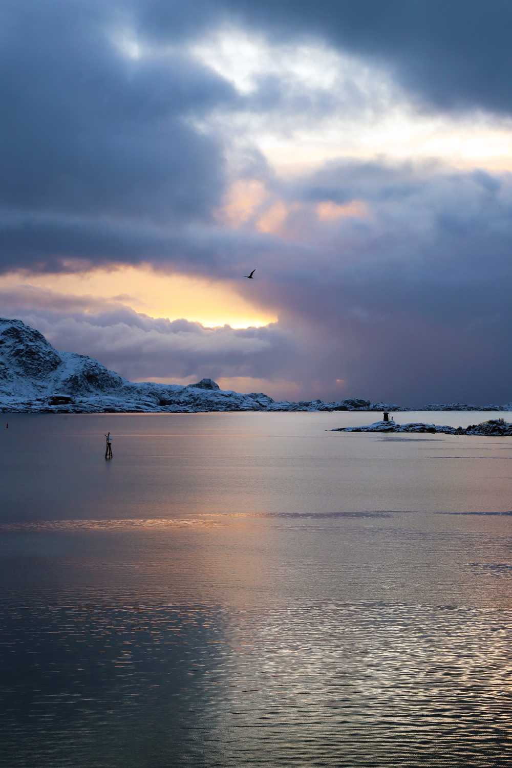 $*Thrudheim* Leknes, 2025