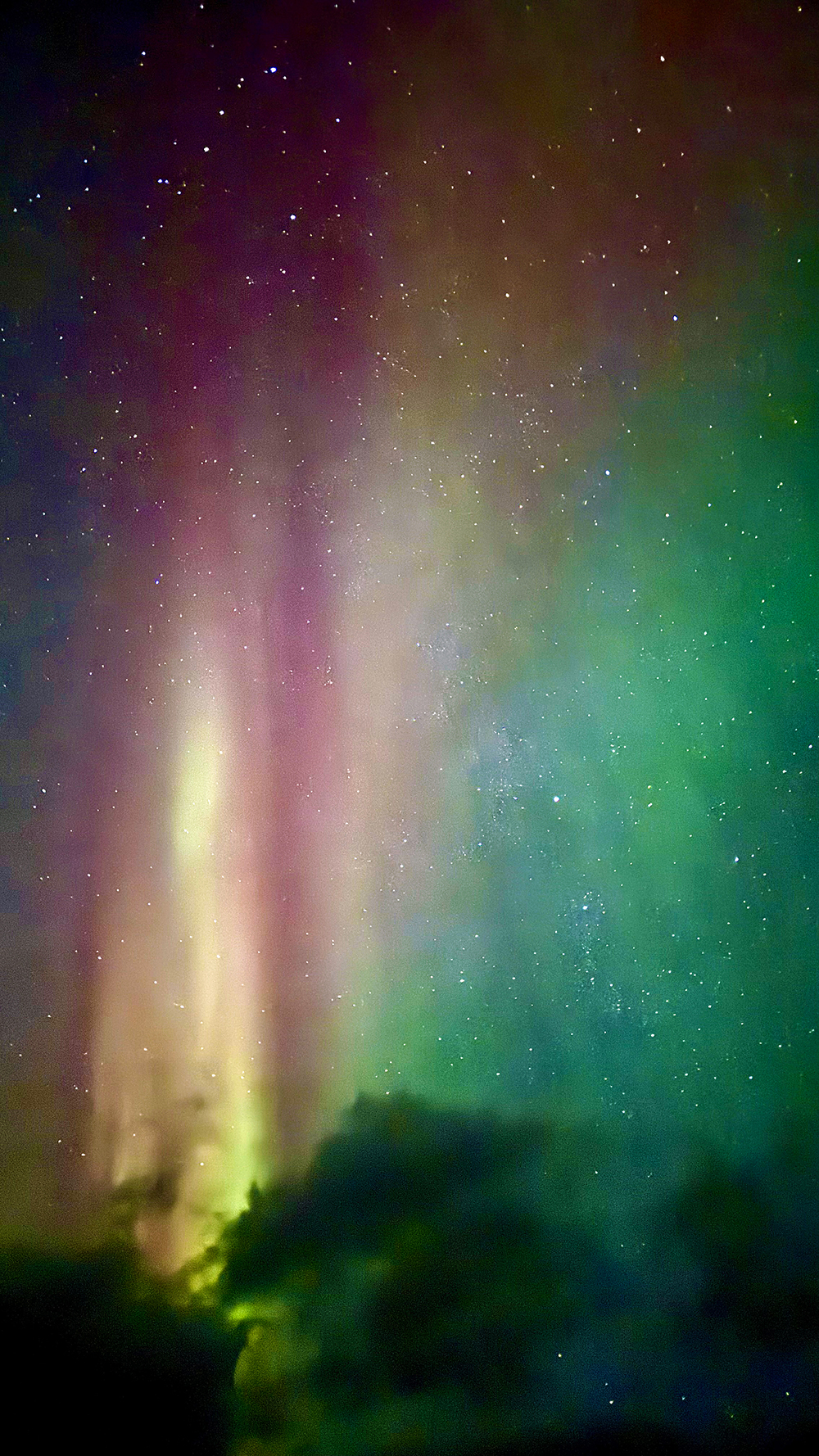 $*Bifröst* Norskehavet, 2025