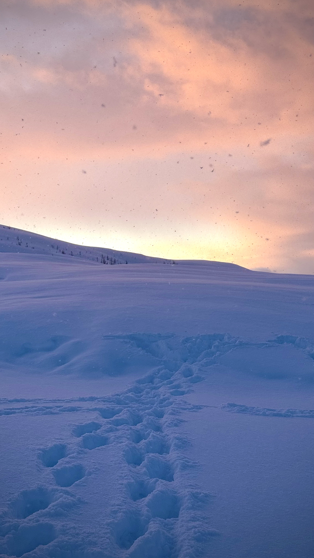 $*Hrímþursar* Tromsø, 2025