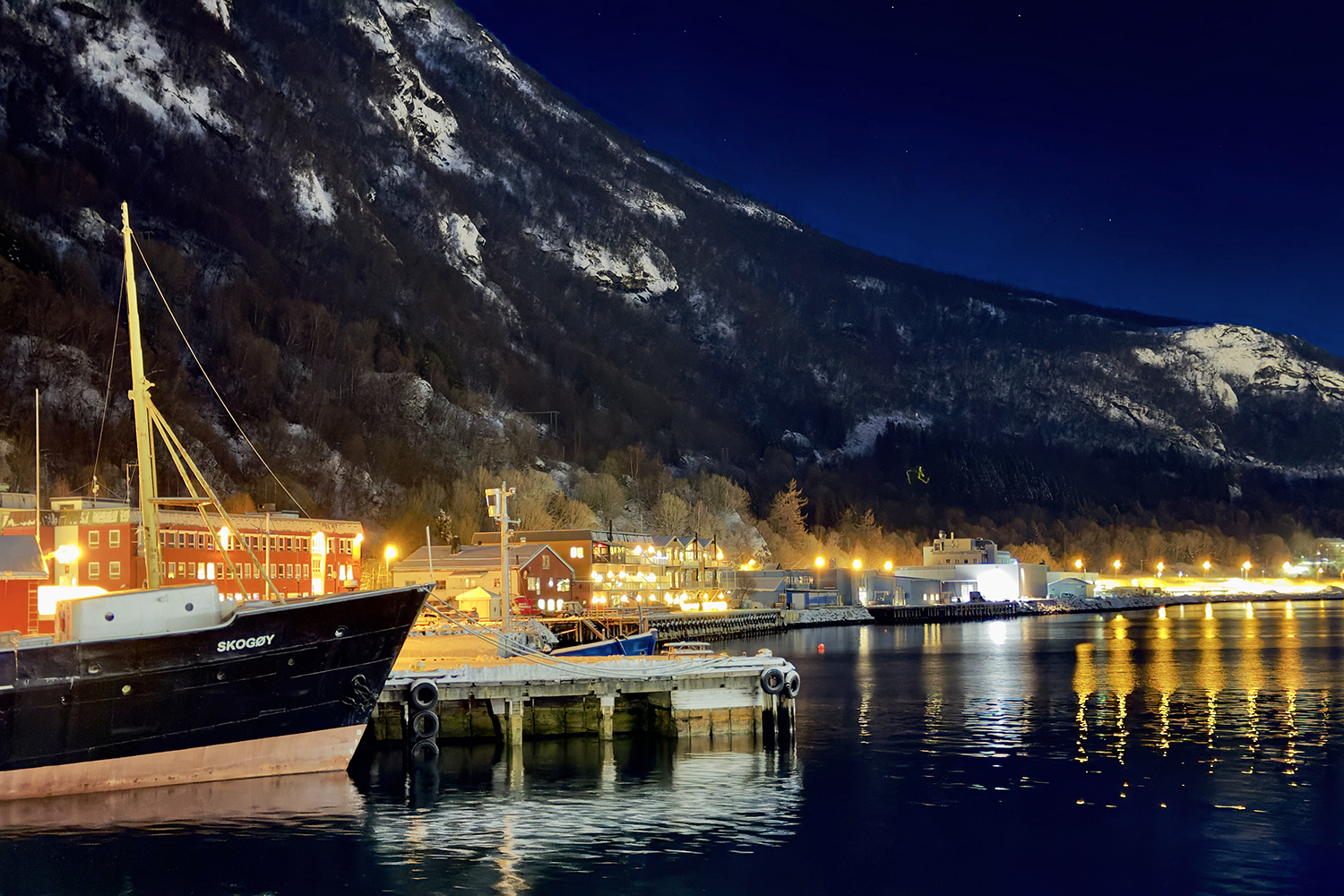 $*Skogøy* Narvik, 2025