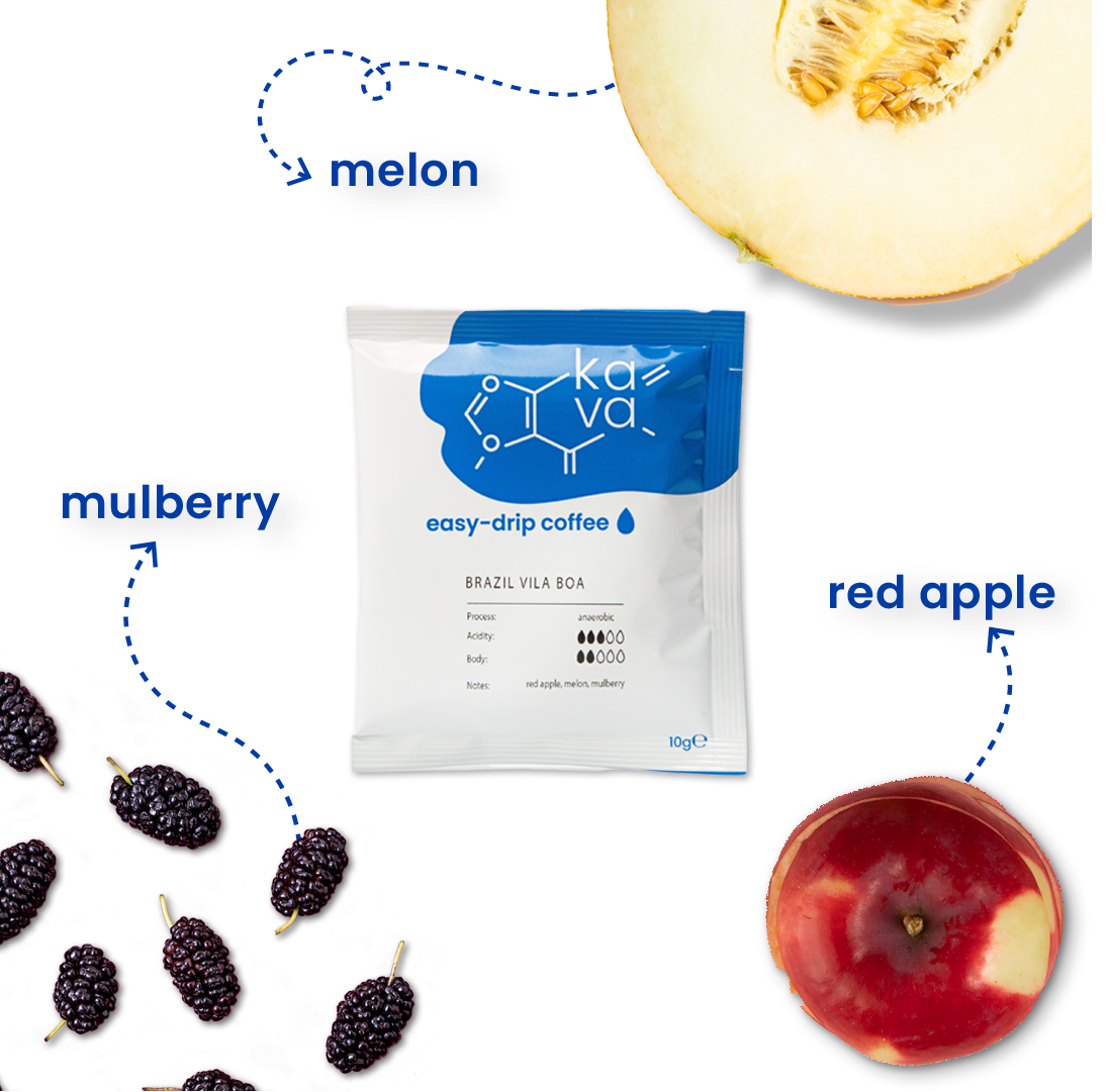 Drip Coffee Bags. Café Brazil Villa Boa