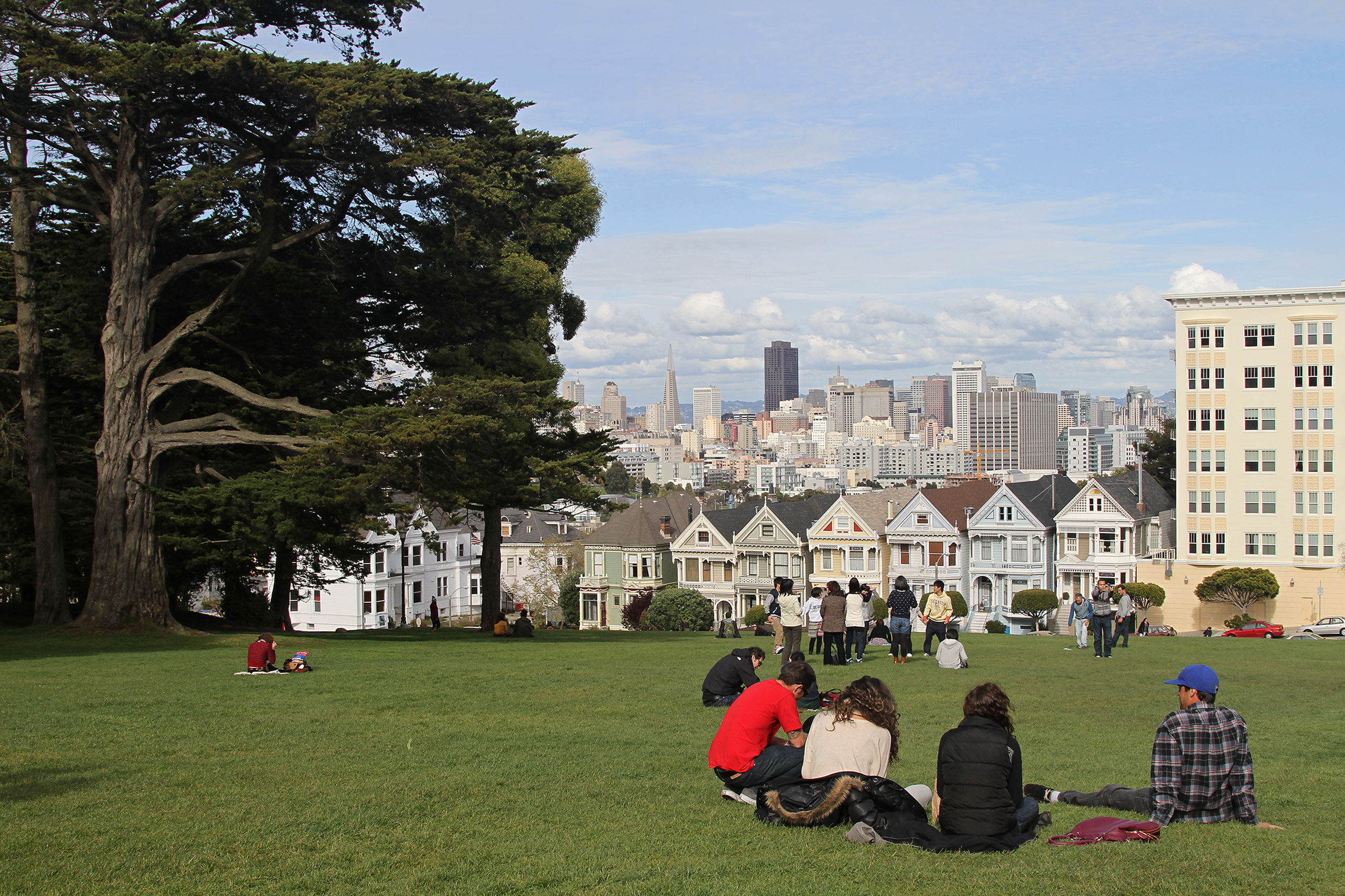 Alamo Square picnic spot sf