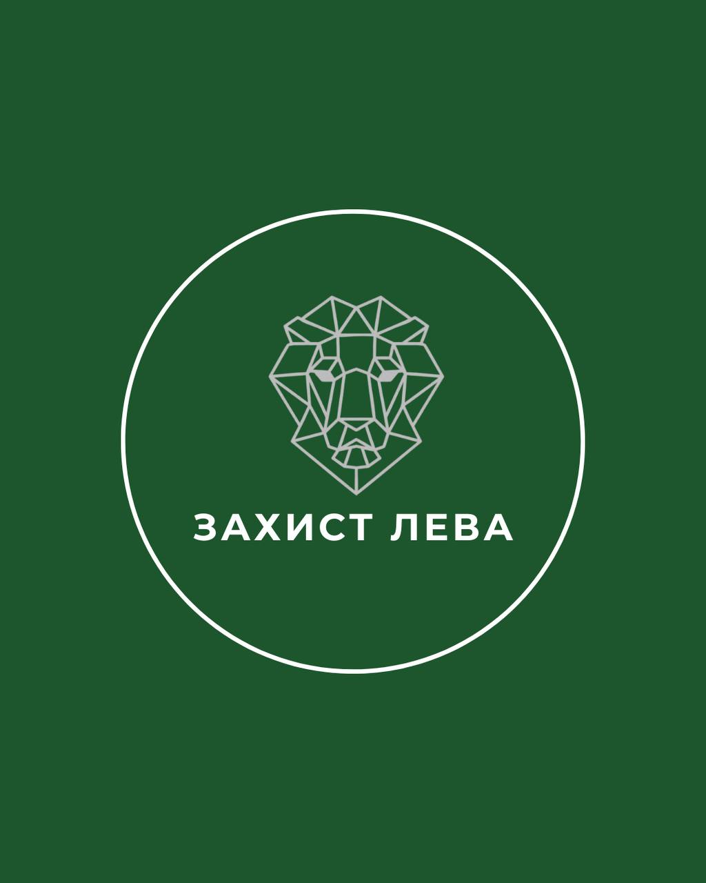 Левовий захист — курс дитячого самозахисту