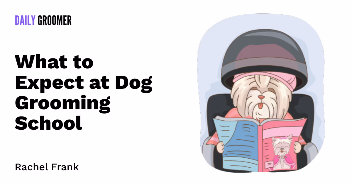 From Fur Babies to Expert Stylists: What to Expect at Dog Grooming School