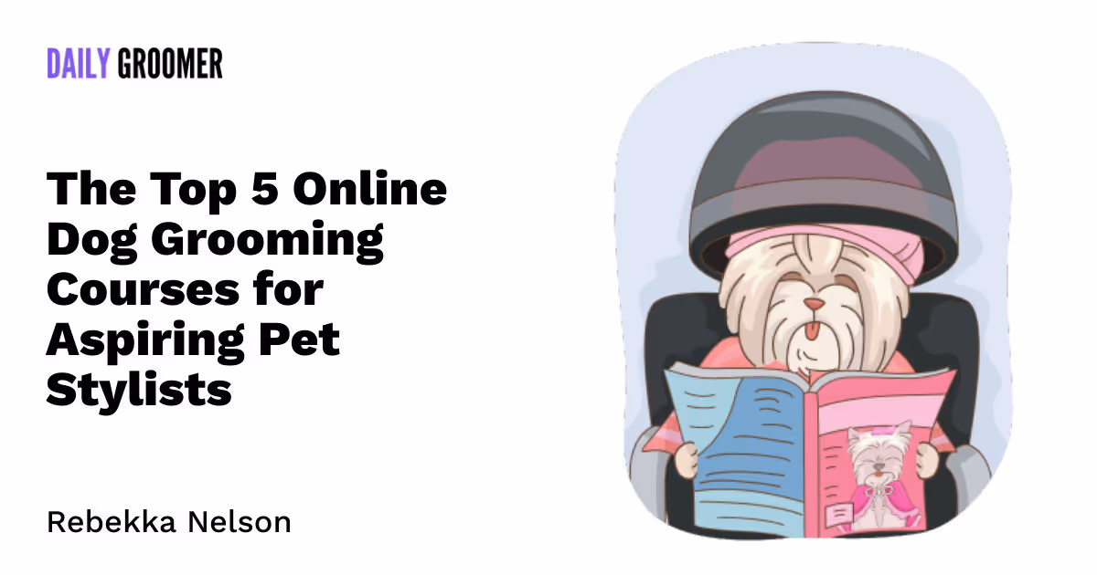 The Top 5 Online Dog Grooming Courses for Aspiring Pet Stylists