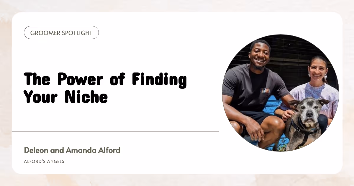 The Power of Finding Your Niche